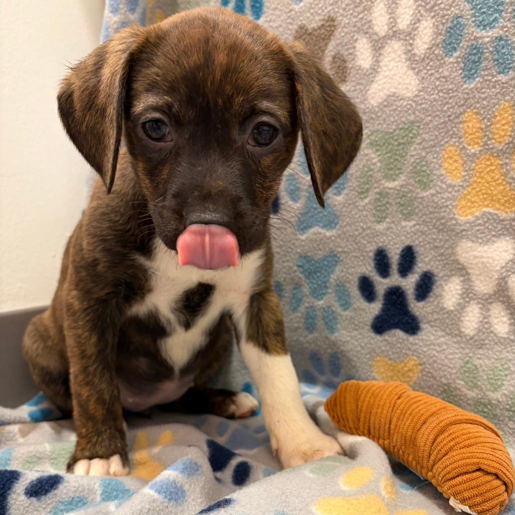 Zester — thumbnail 3