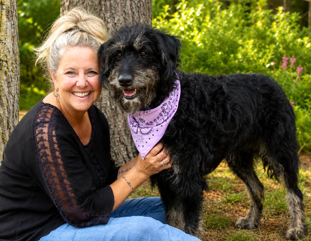 Sophie, a ADOPTABLE Labradoodle in Cheboygan, MI image 3/6