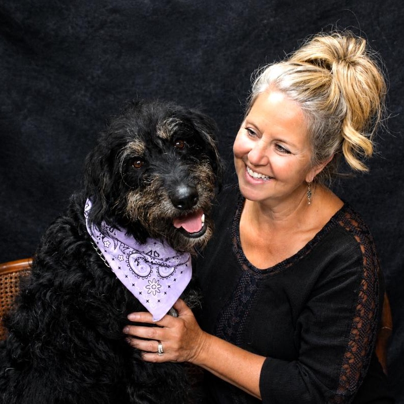 Sophie, a ADOPTABLE Labradoodle in Cheboygan, MI image 2/6