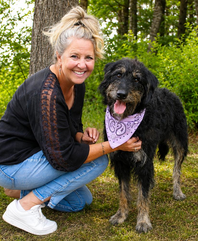 Sophie, a ADOPTABLE Labradoodle in Cheboygan, MI image 4/6