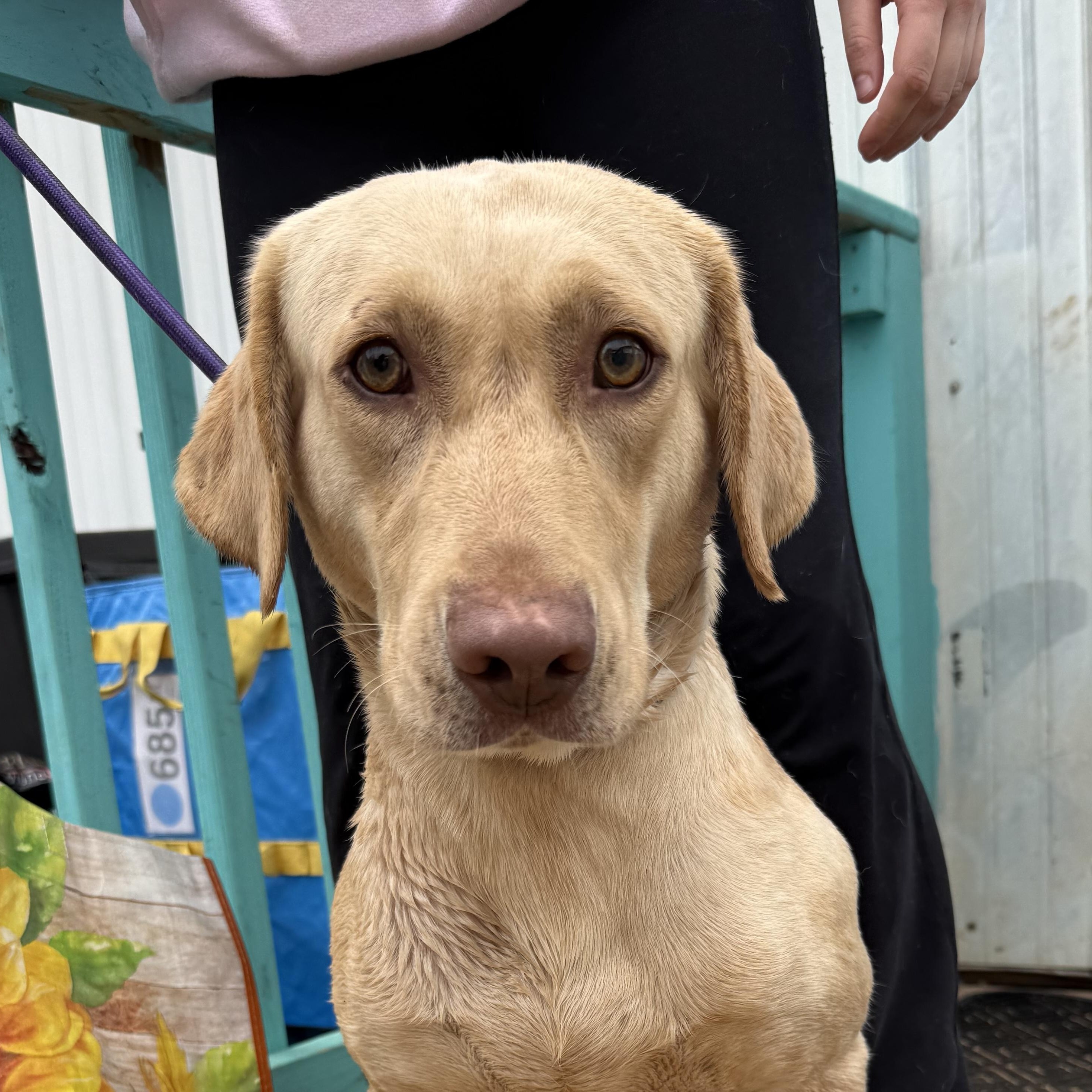 Steve Harvey — thumbnail 3