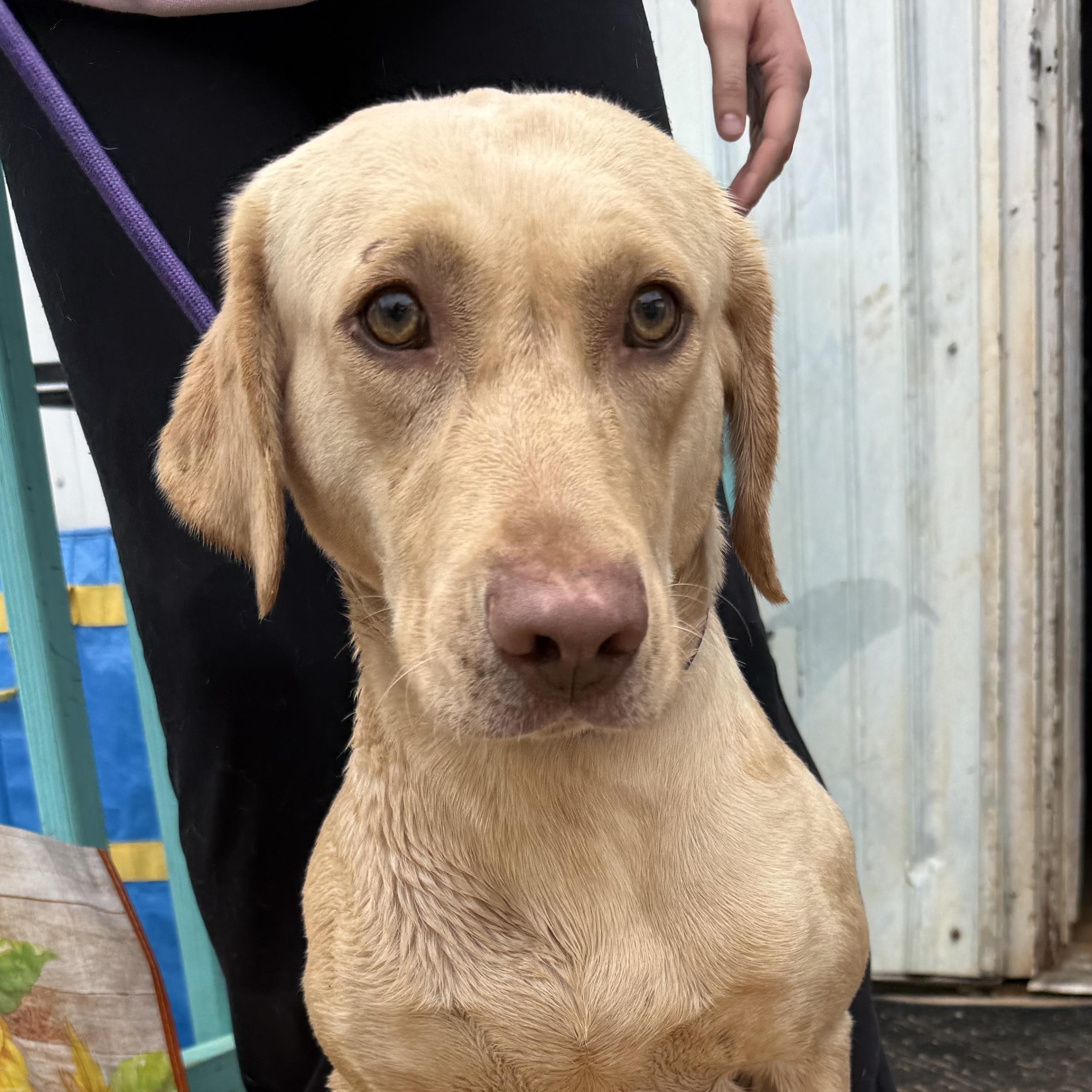 Steve Harvey — thumbnail 4