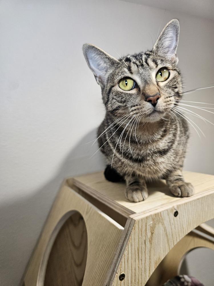 Athena M — thumbnail 3