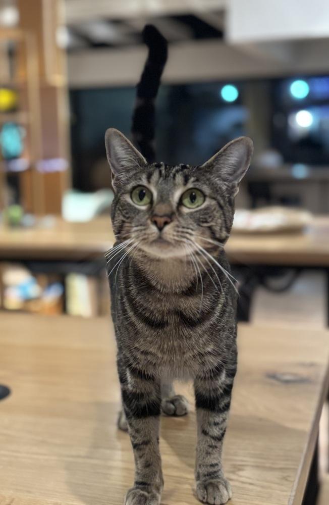 Athena M — thumbnail 4