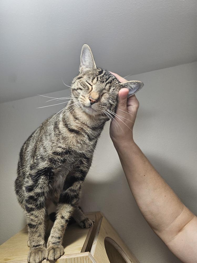 Athena M — thumbnail 5