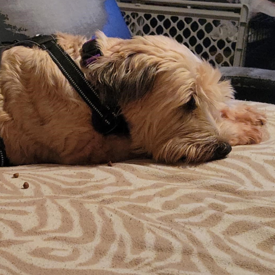 Winnie photo 4