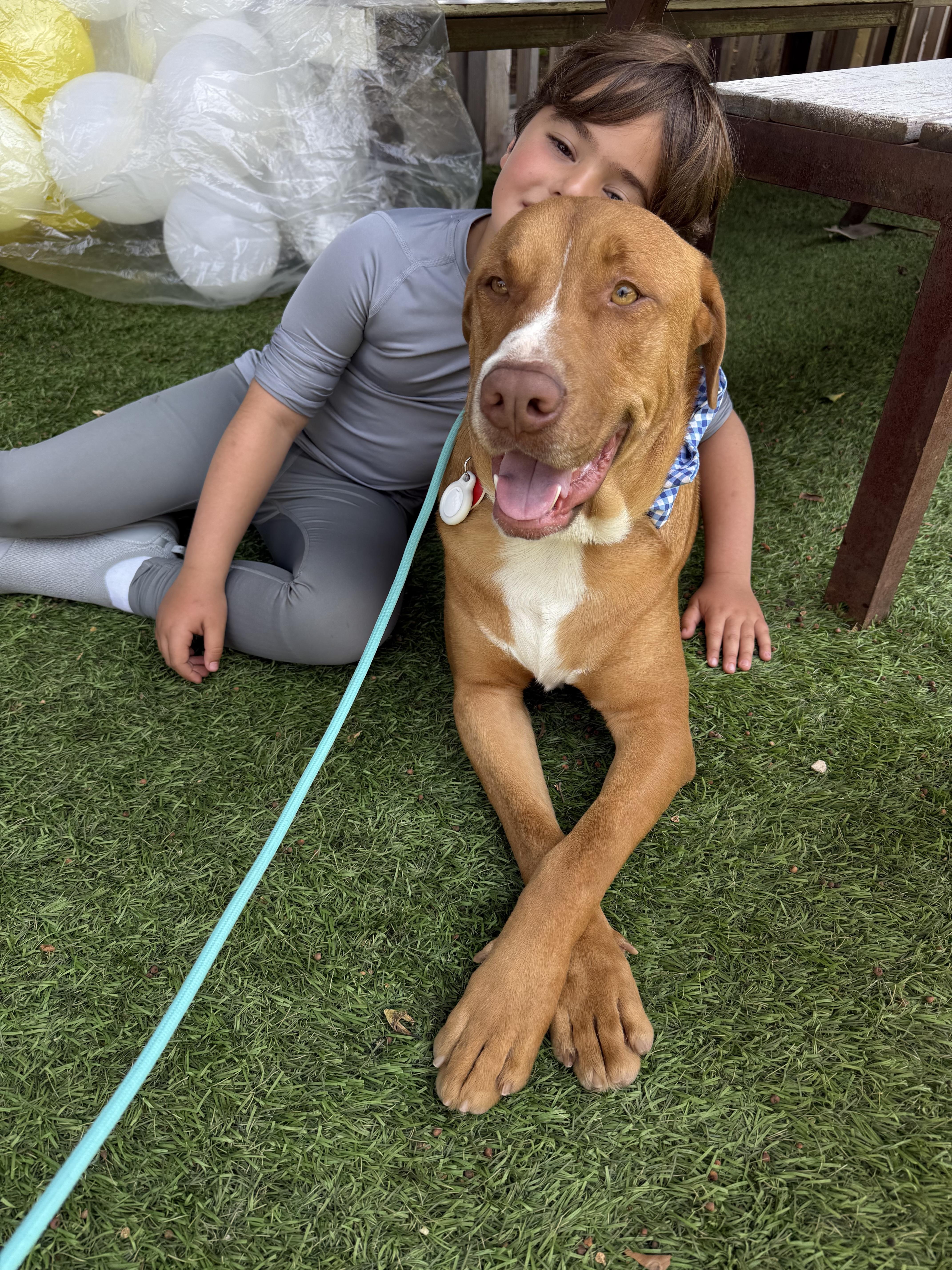 Dan Tana is a superstar