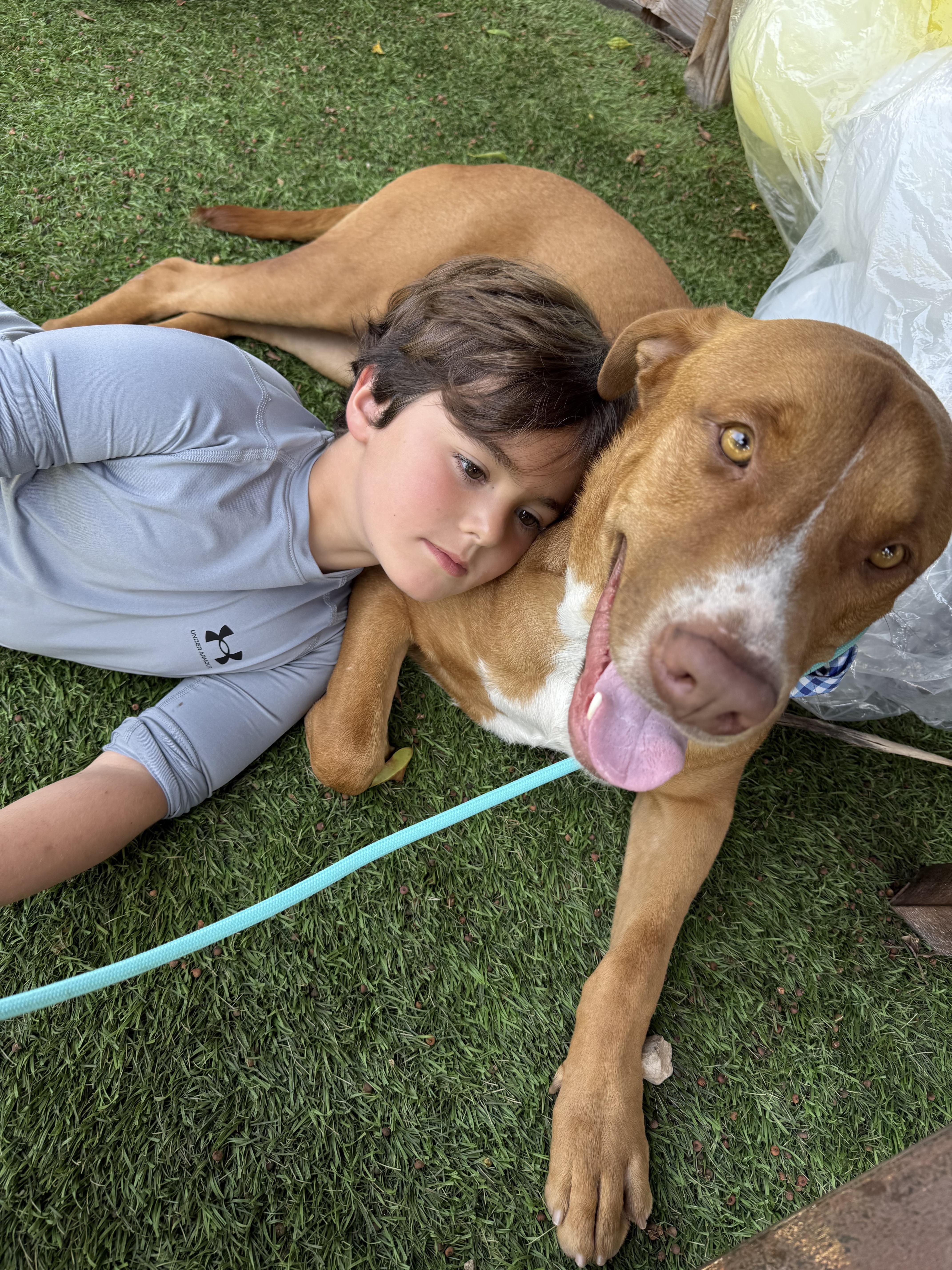 Dan Tana is a superstar