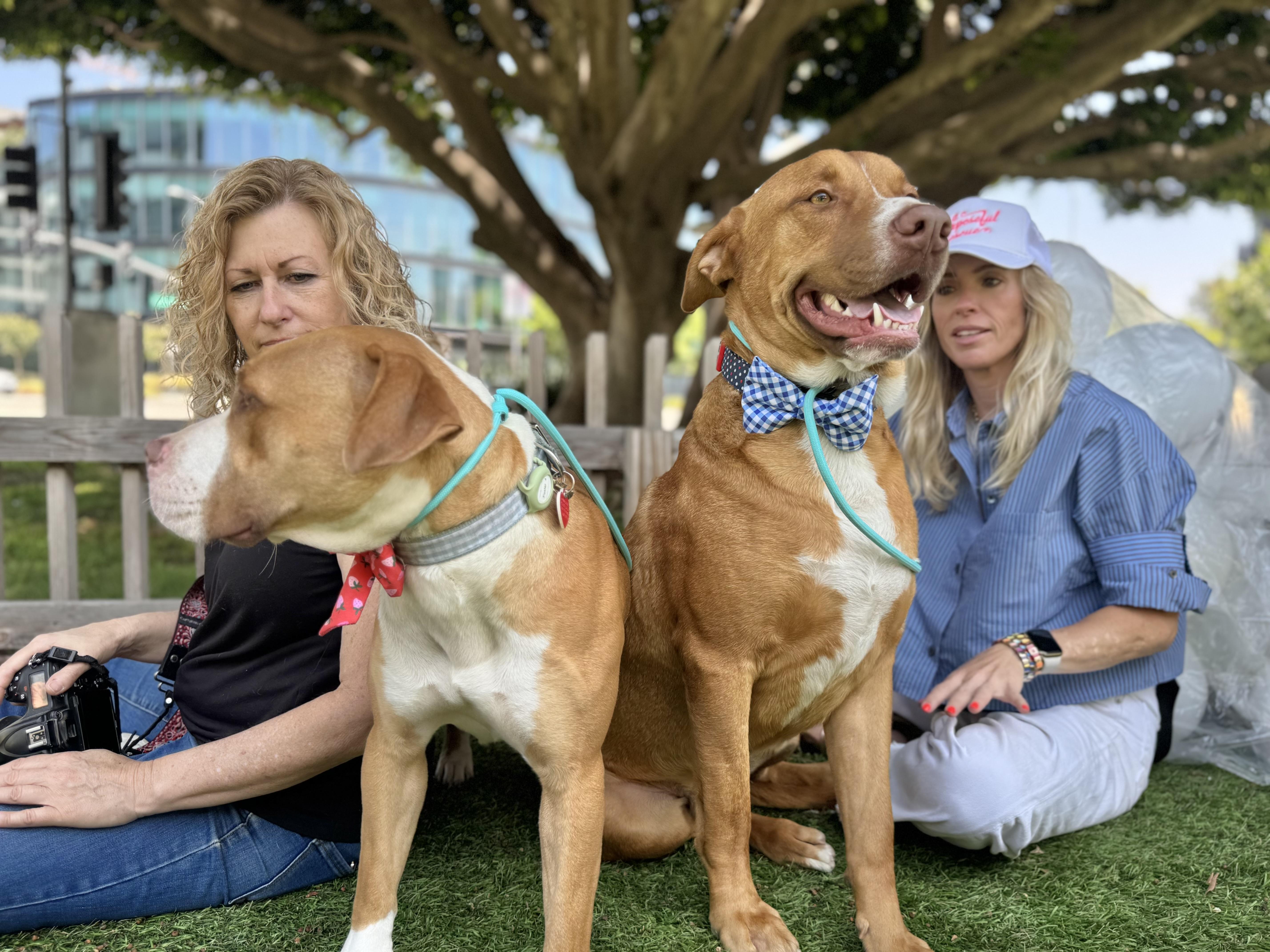 Dan Tana is a superstar