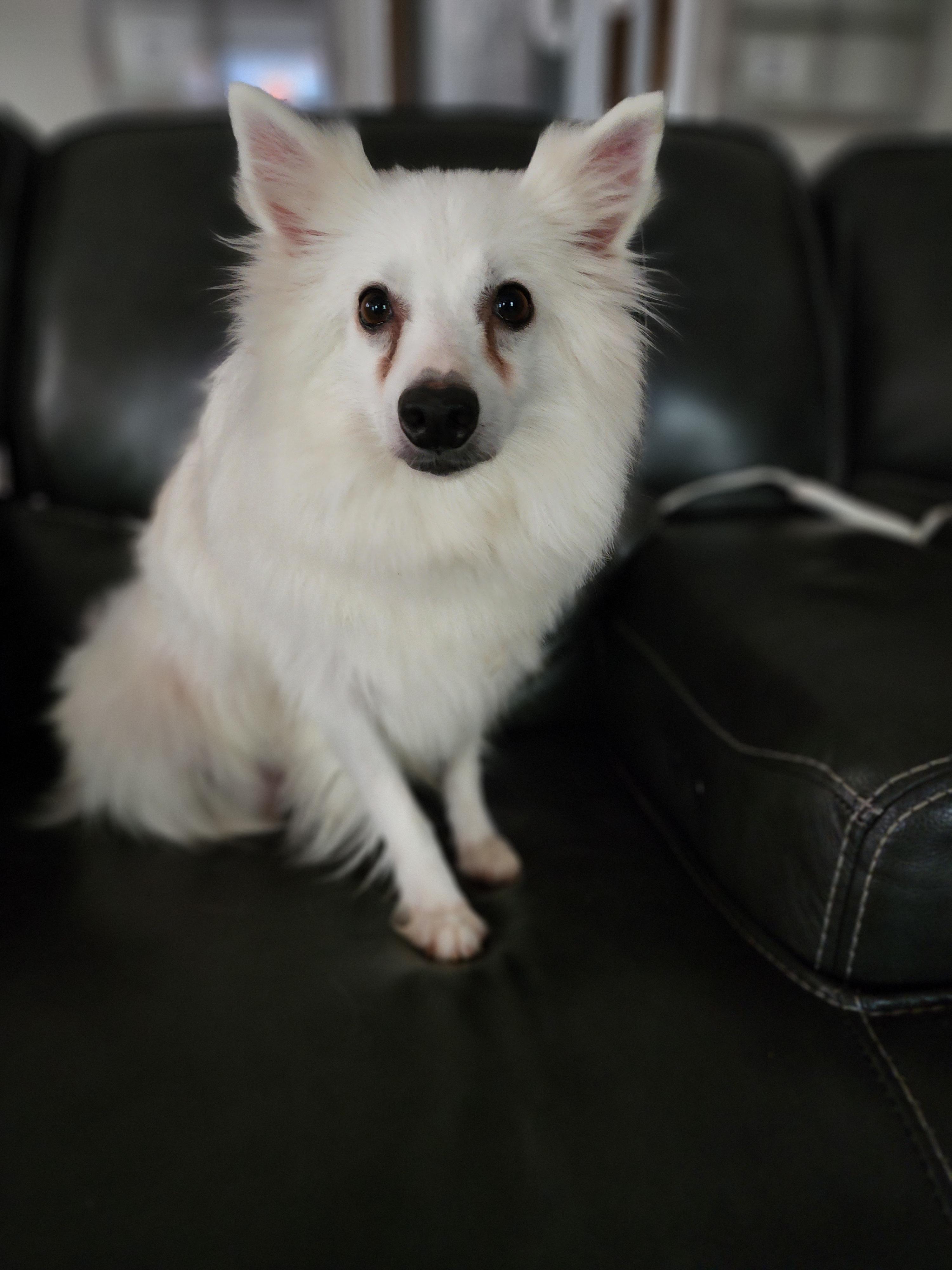 Daisy photo 5