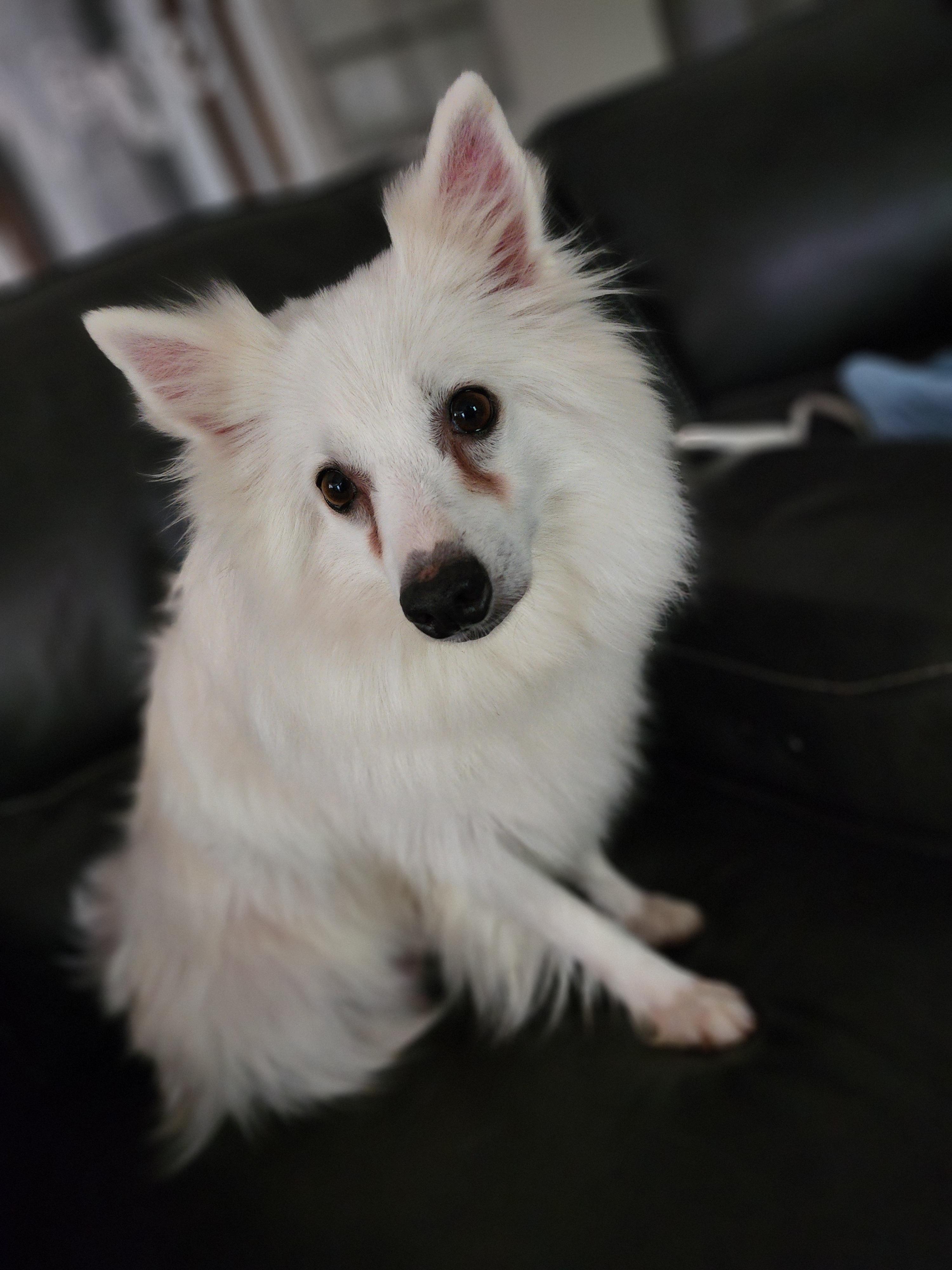 Daisy photo 6