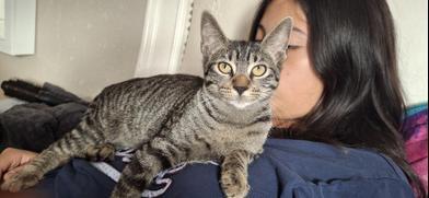 Pete — thumbnail 5