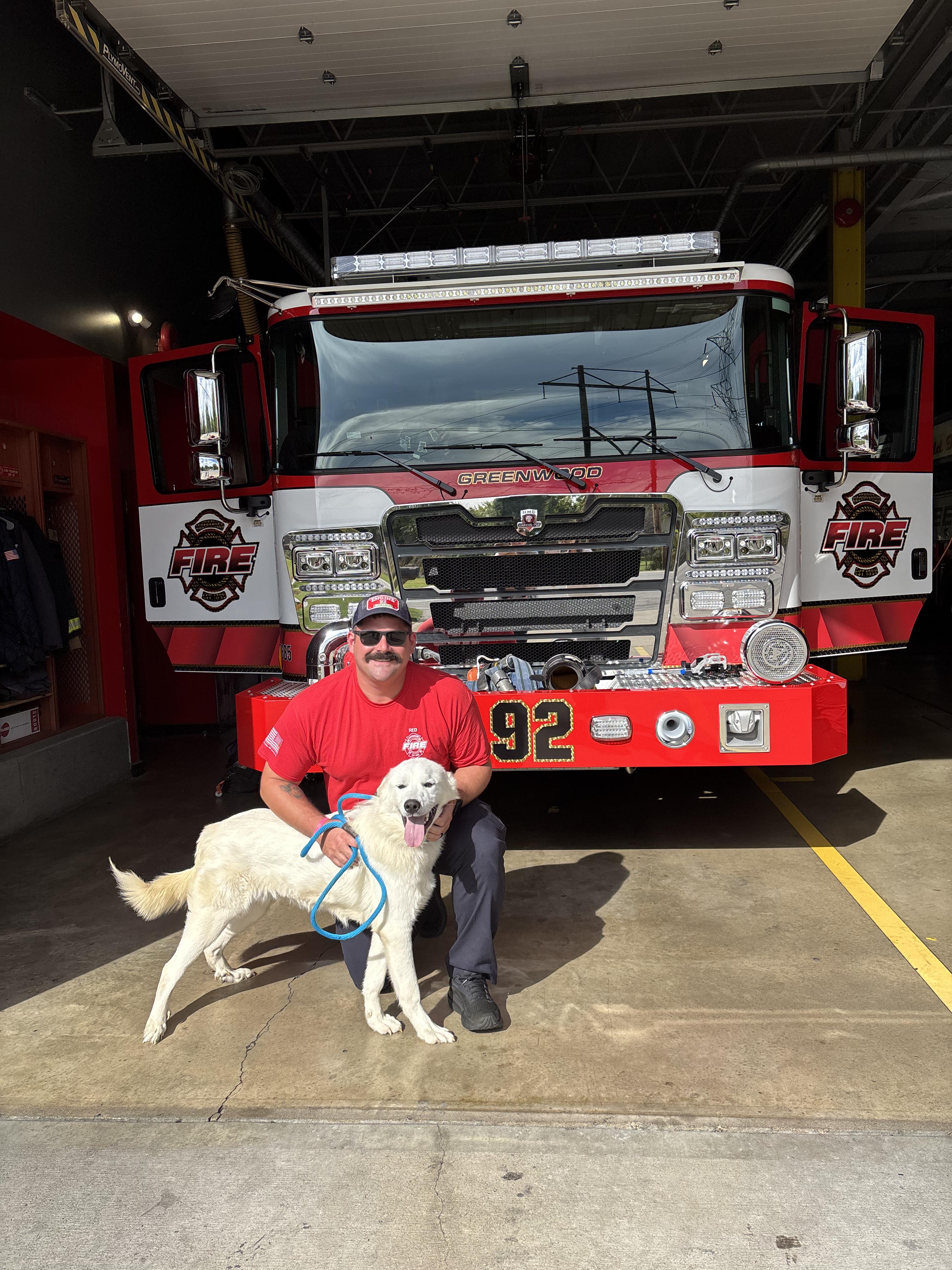 George, Adoptable, Young Male Great Pyrenees.