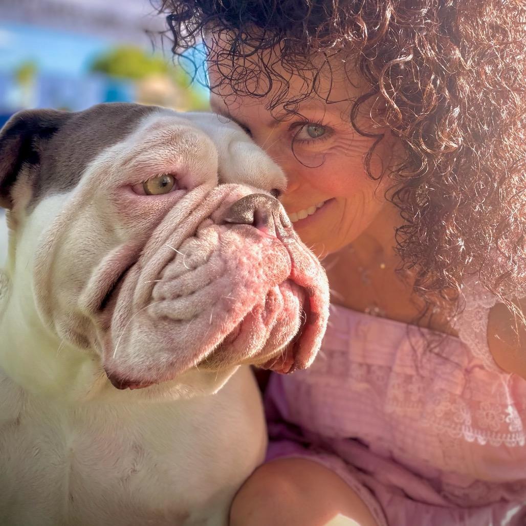 Enlarge Tootsie, a Adoptable mixed breed in Phoenix, AZ image 5/6