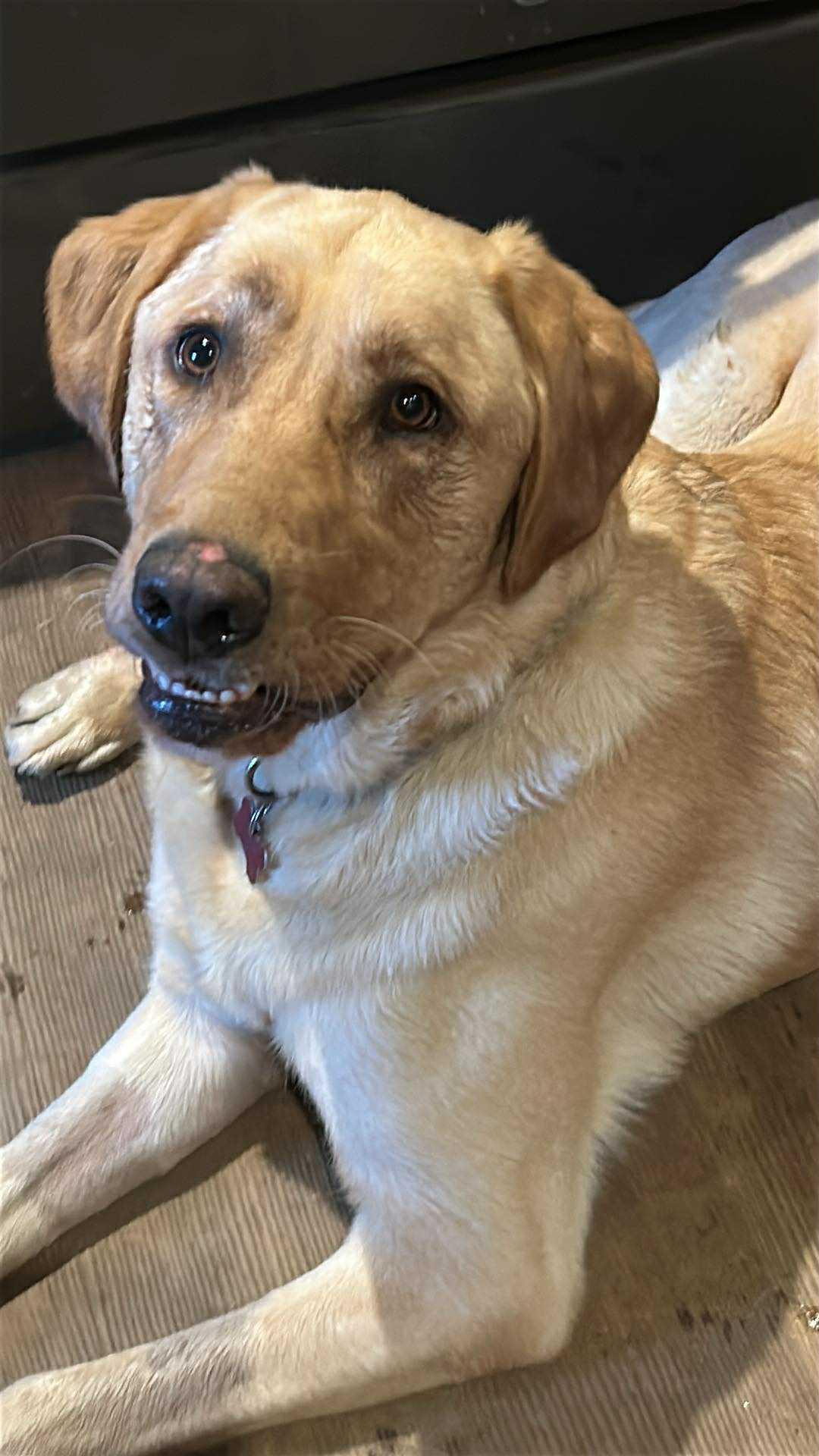 Benny