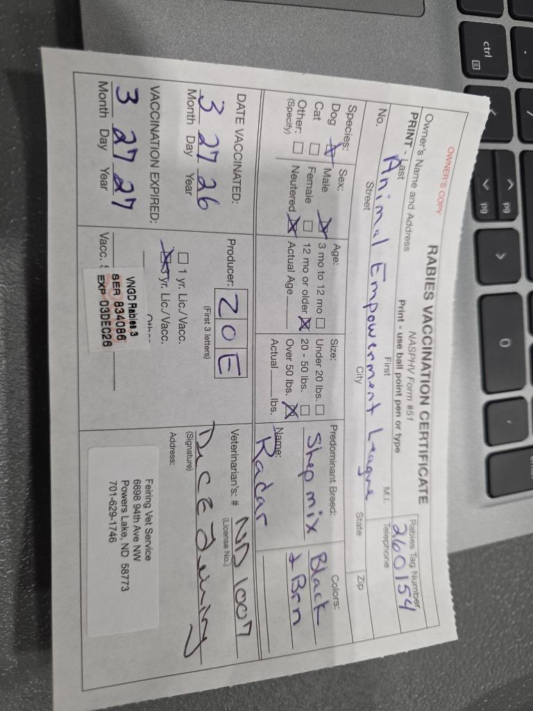 Radar 26-6736, a Adoptable mixed breed in Minot, ND image 3/4