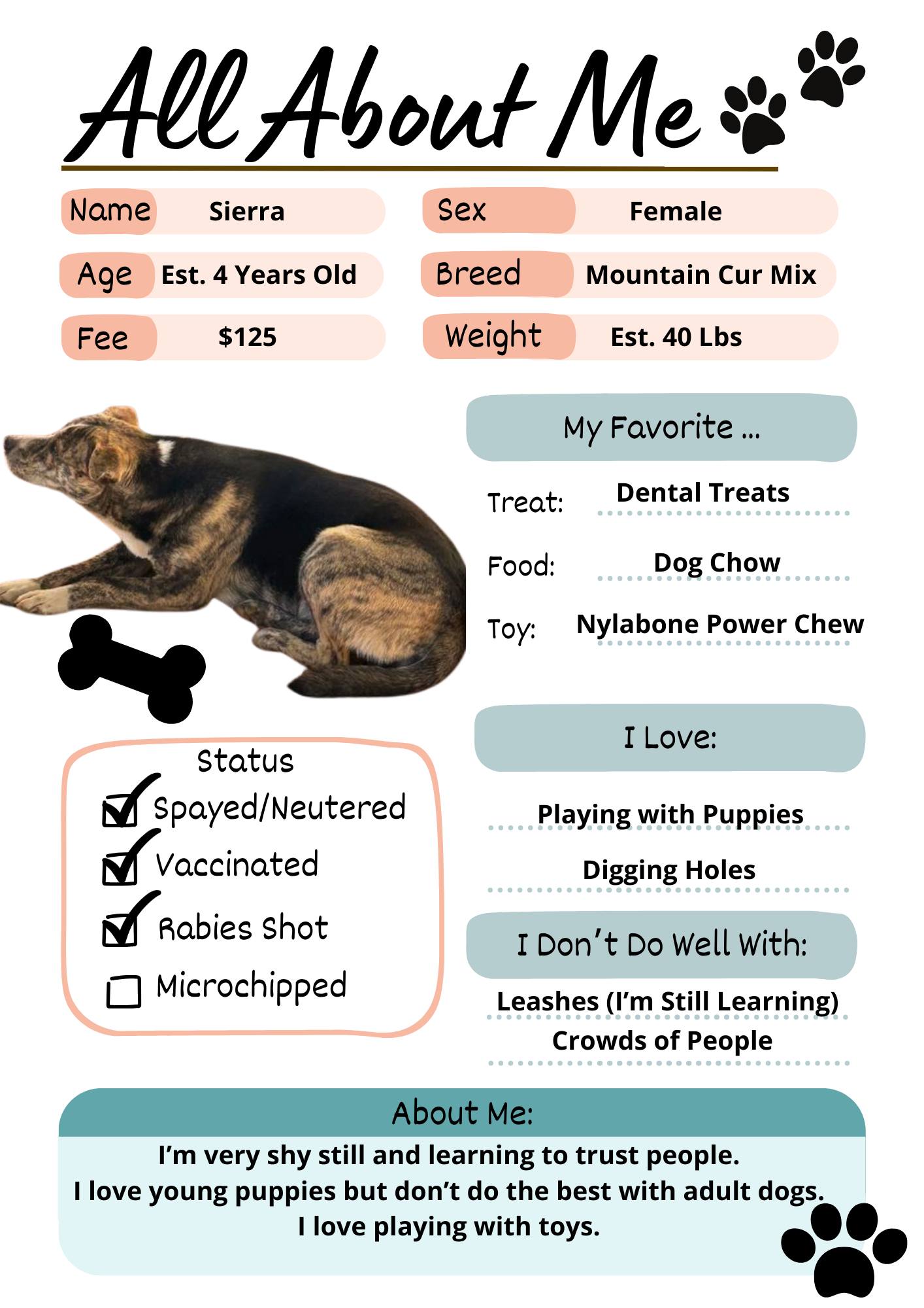 Enlarge Sierra, a Adoptable Mountain Cur in Sparta, GA image 5/5