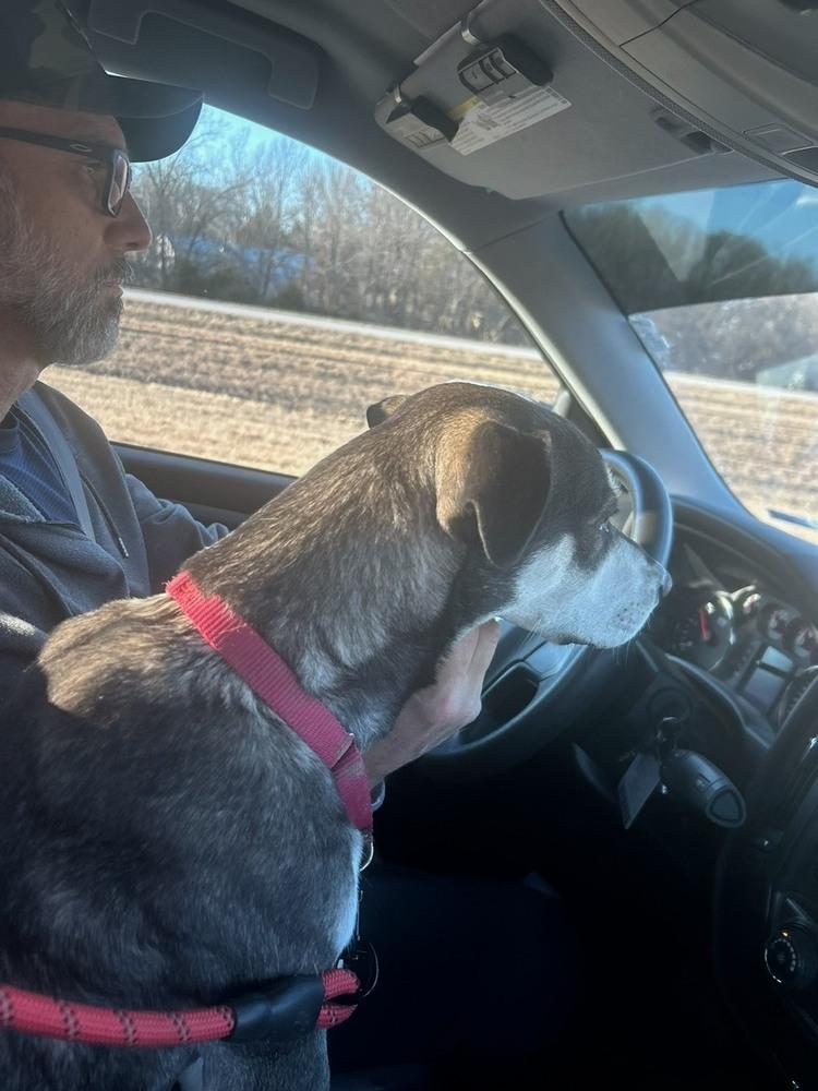 Jolie  She Is thumbnail 3