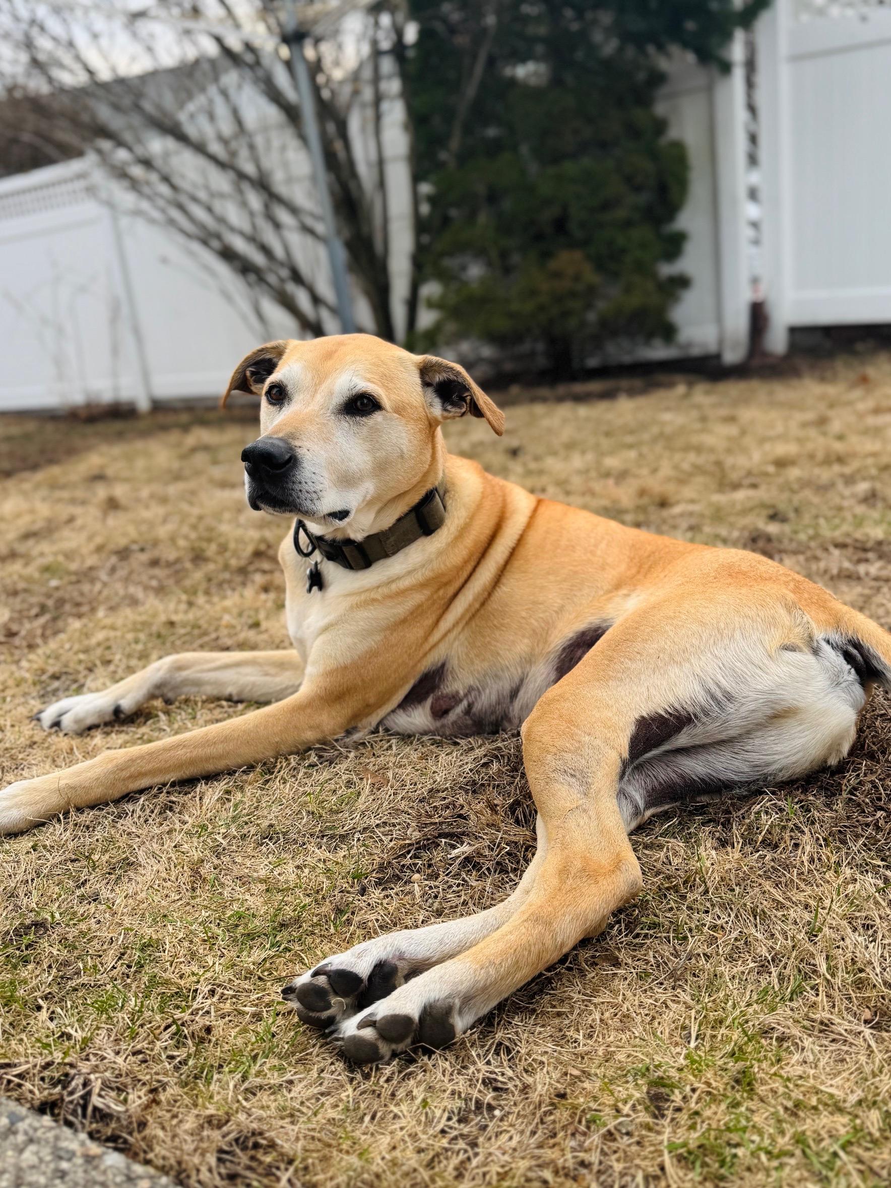 Archer In Va photo 1