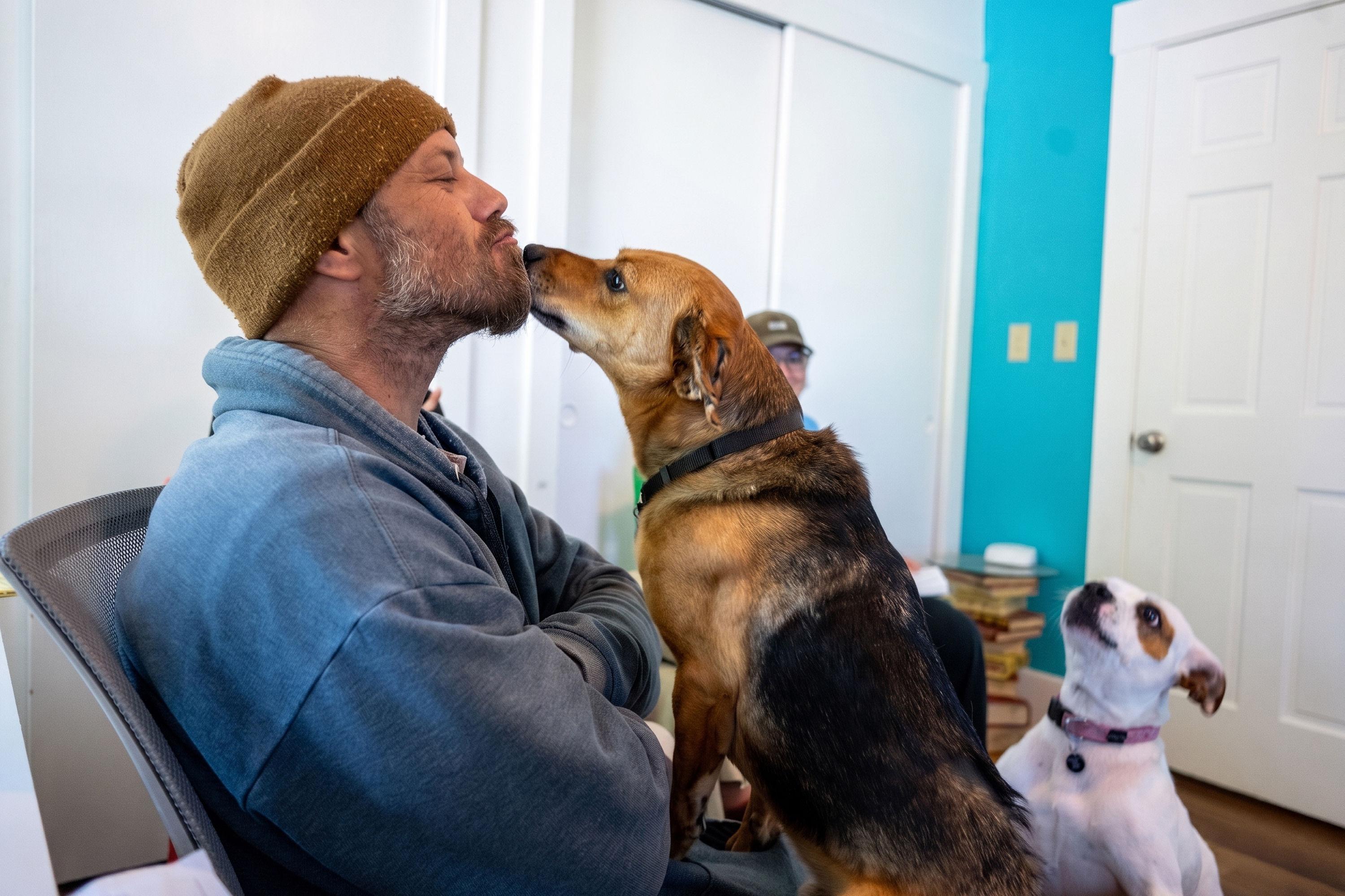 Enlarge Billy, an adoptable mixed breed in Santa Rosa, CA image 5/6
