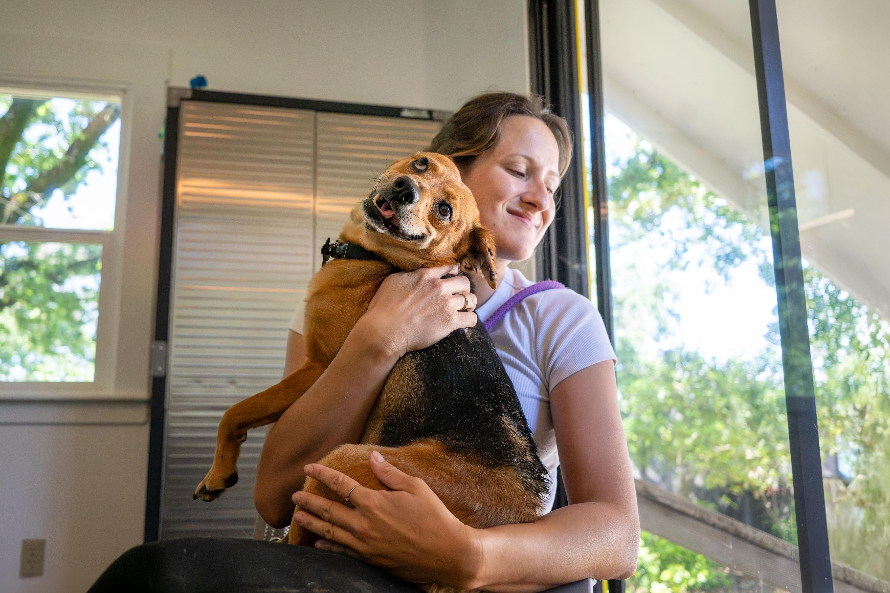 Enlarge Billy, an adoptable mixed breed in Santa Rosa, CA image 4/6