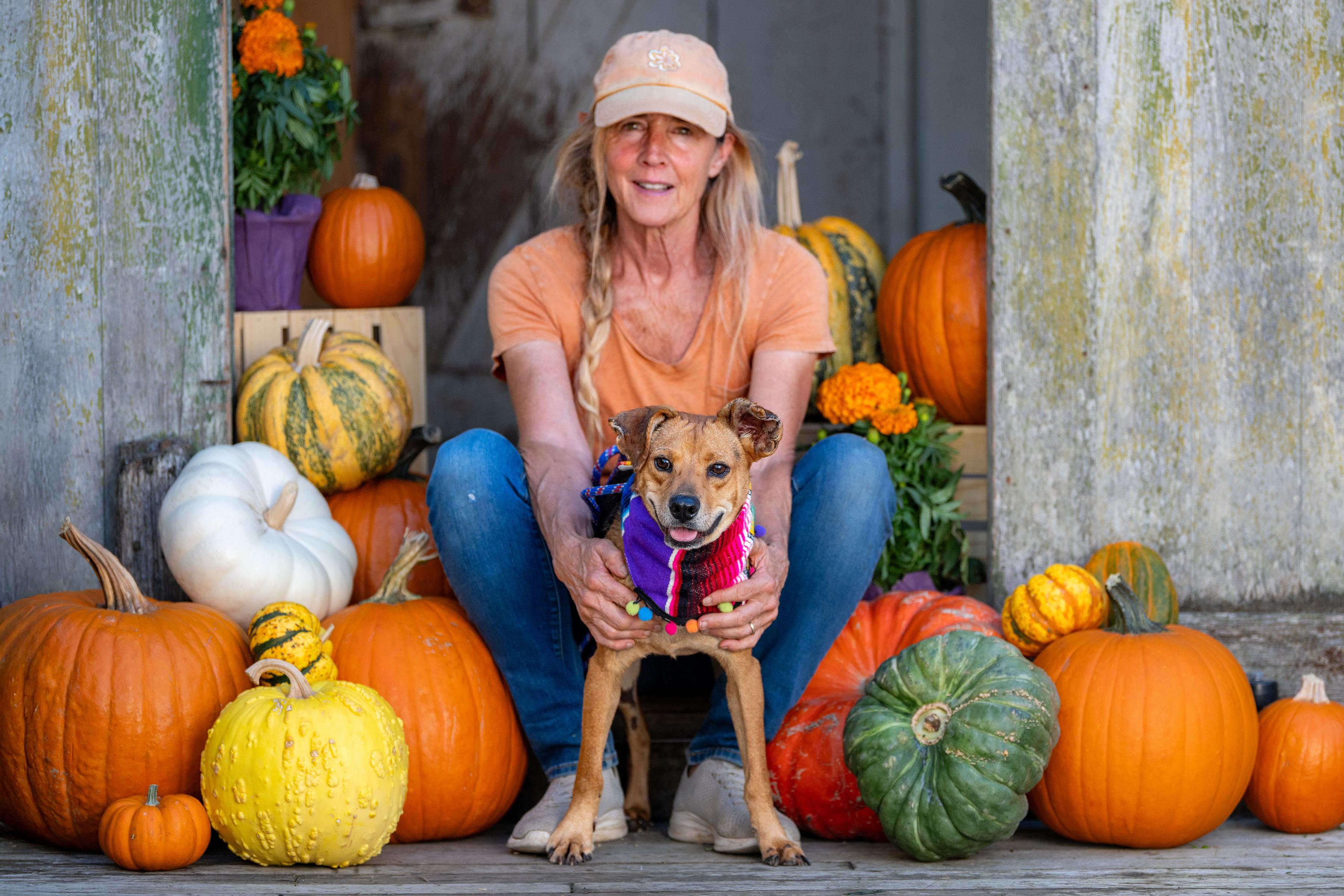 Ivan, a Adoptable mixed breed in Santa Rosa, CA image 3/5