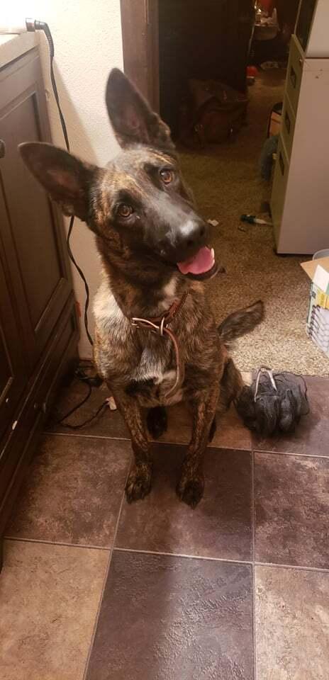 Duchess  Located In thumbnail 3