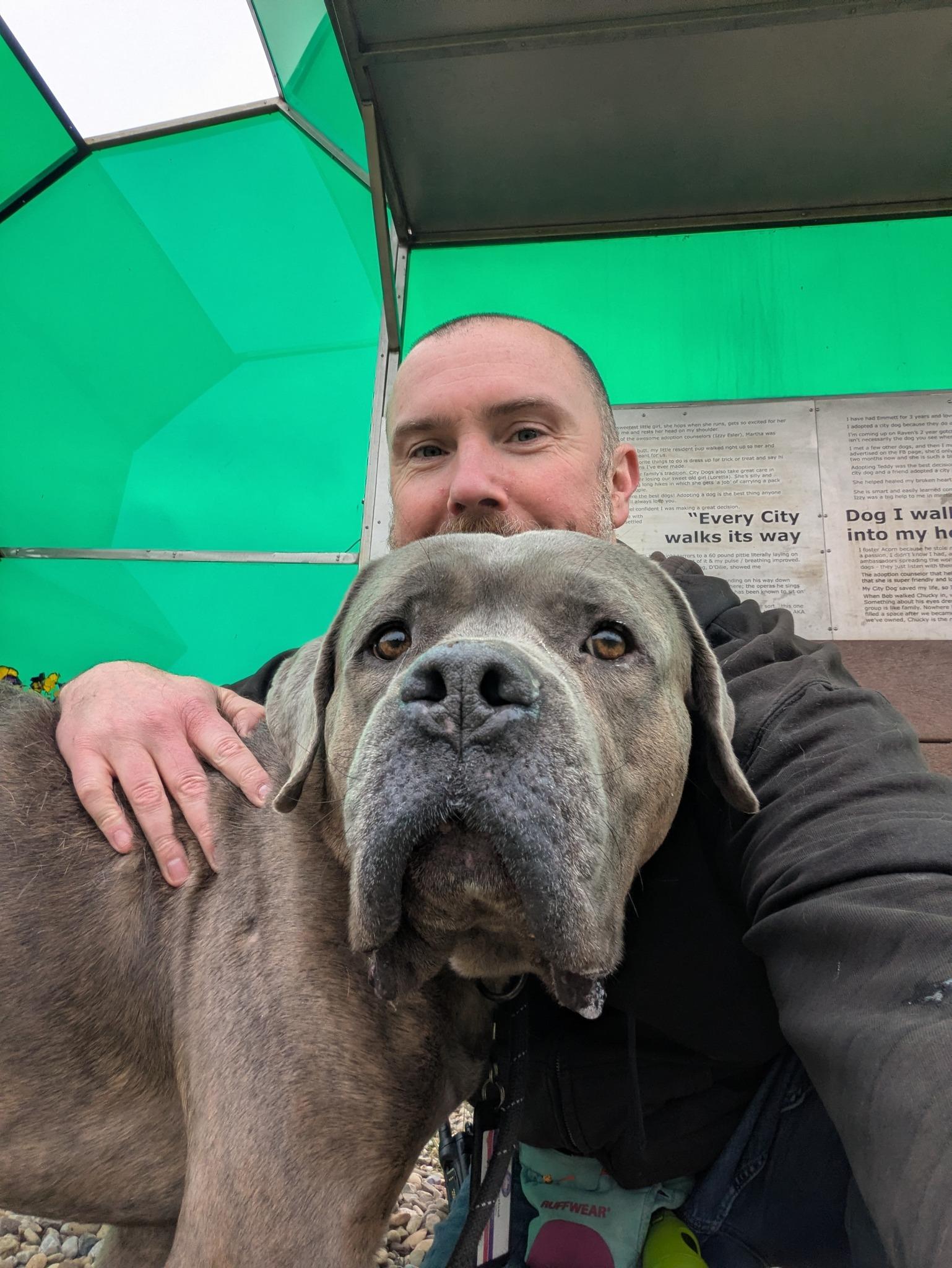 Enlarge Groot, an adopted mixed breed in Cleveland, OH image 5/5