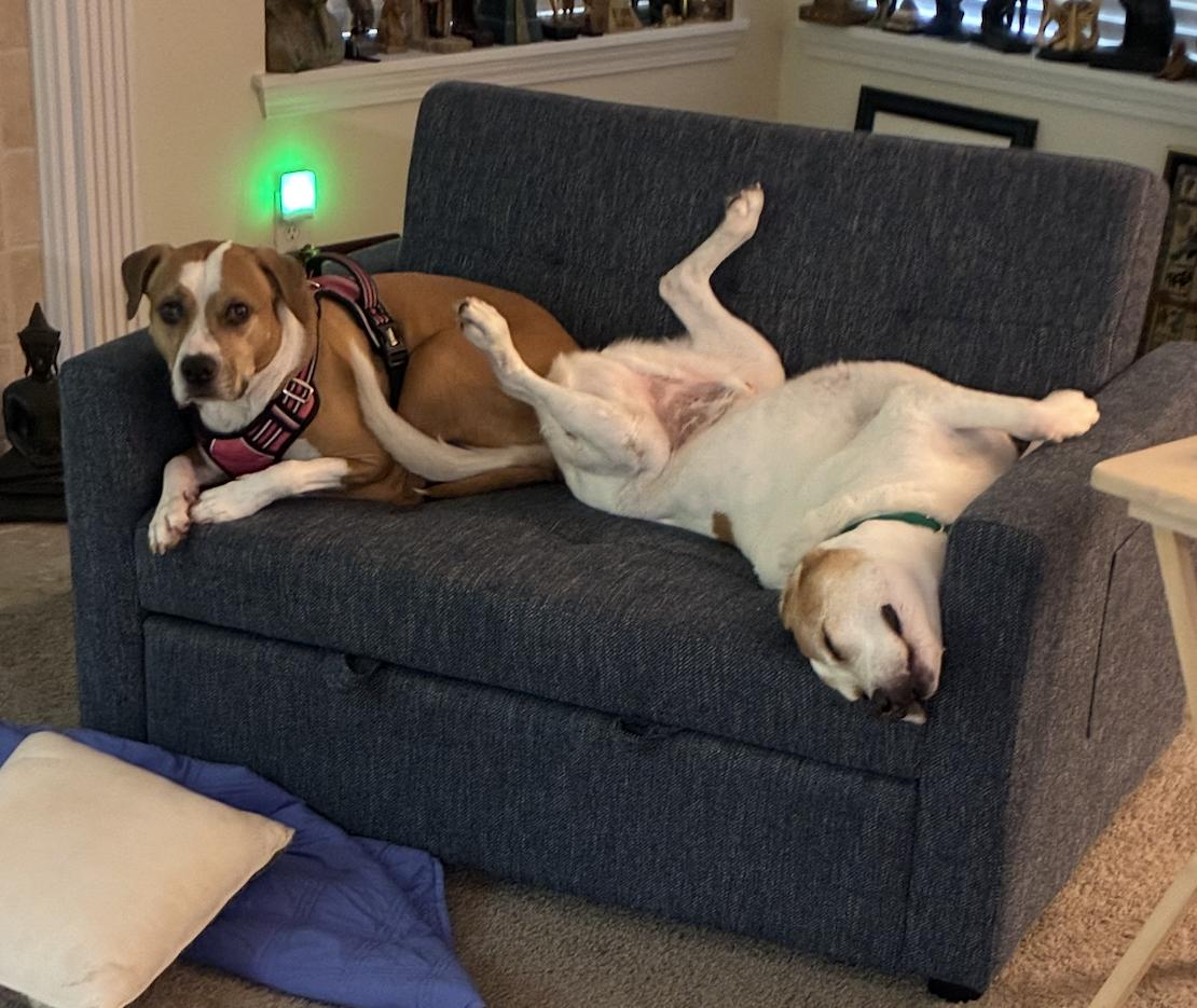 Lucky & Piper
