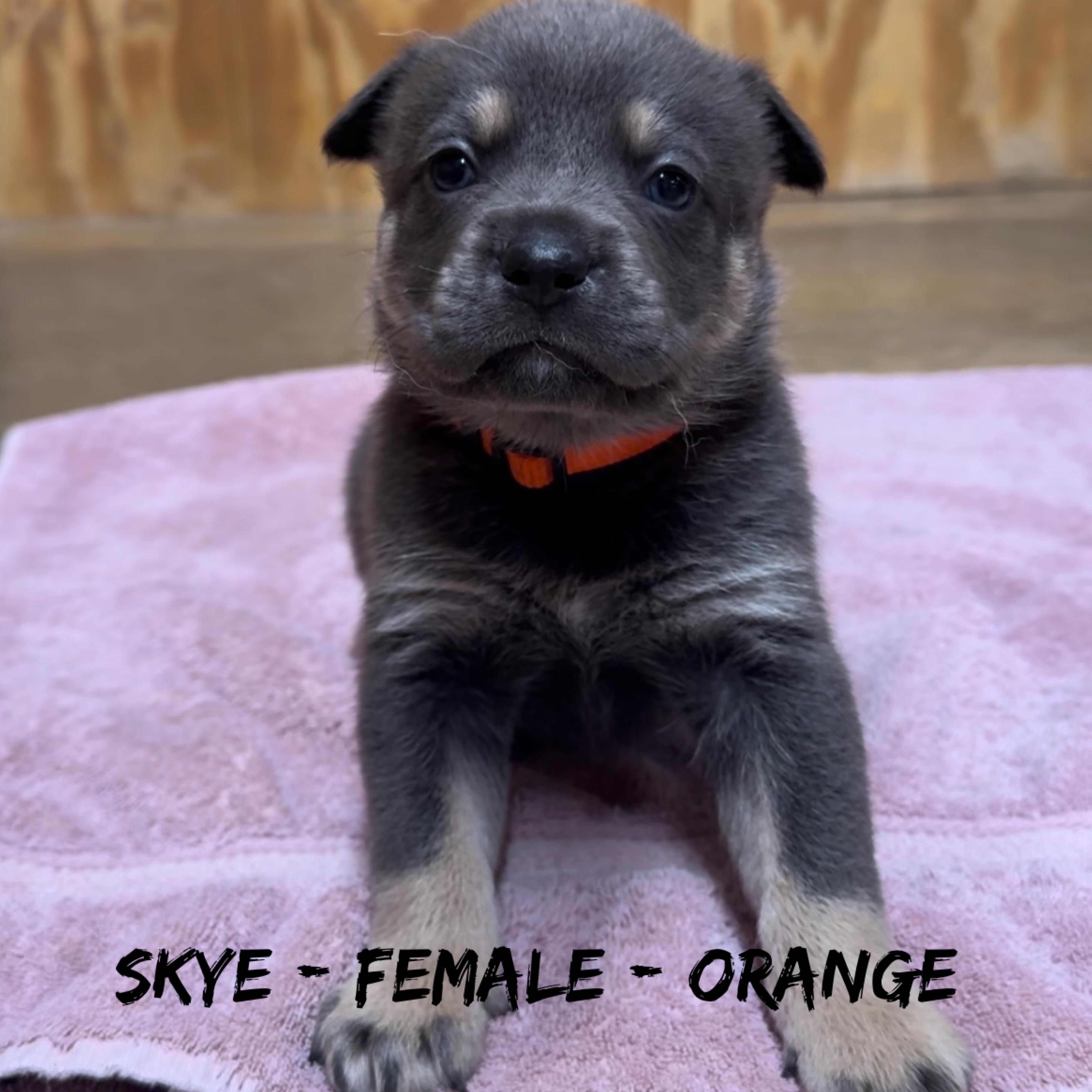 Skye