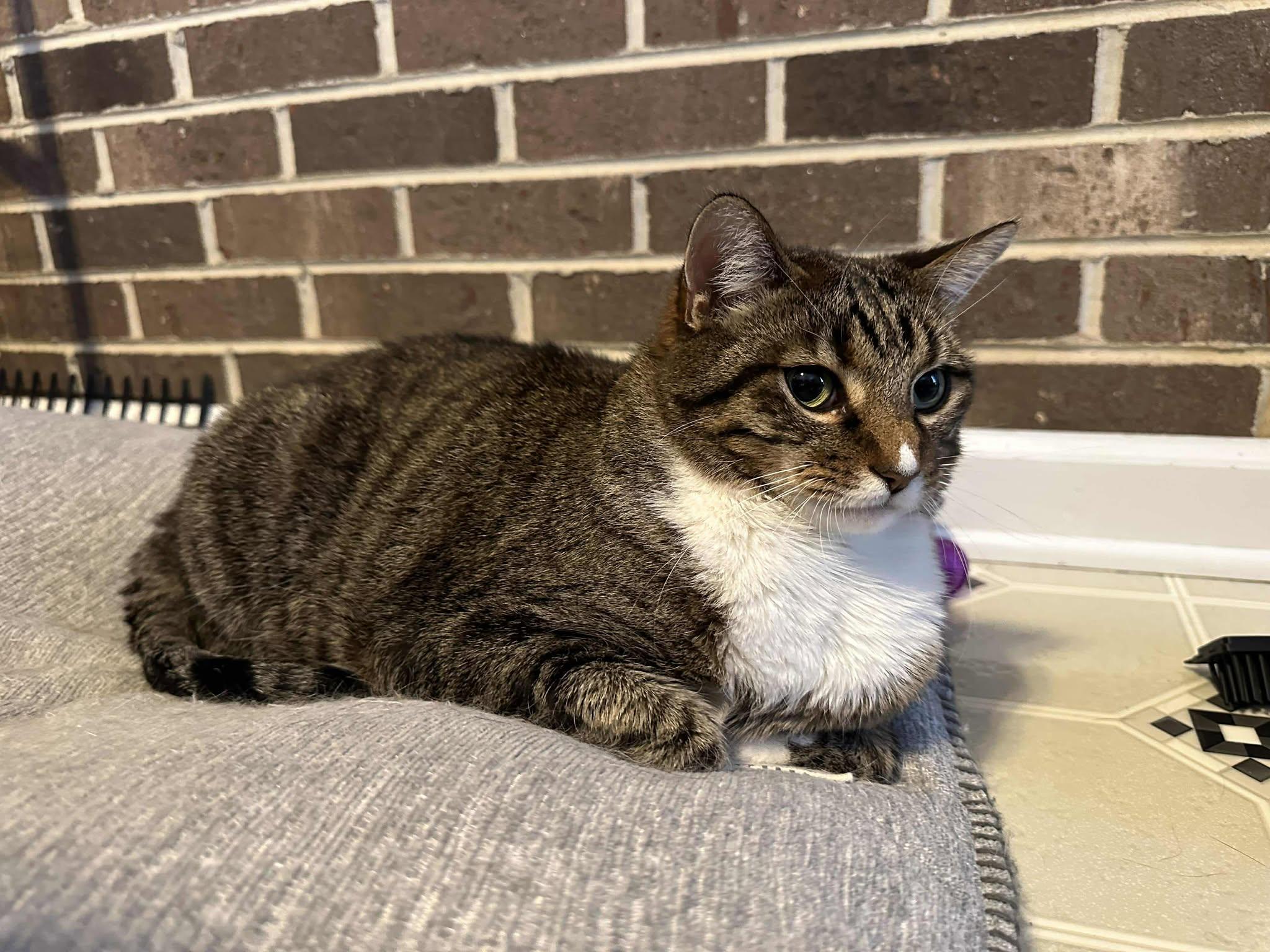 Nat & Crook - Bonded Pair