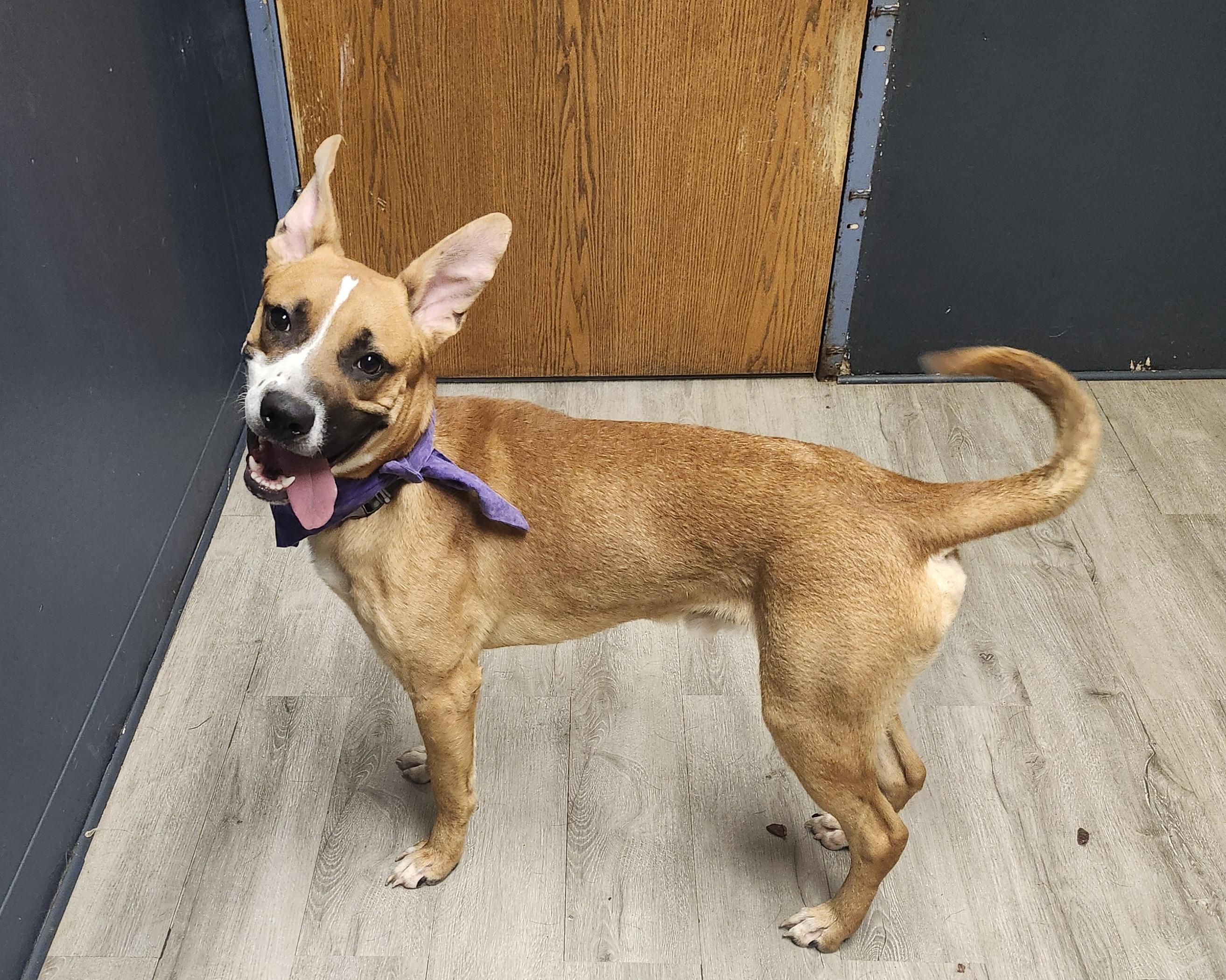 Mr. Green thumbnail 3