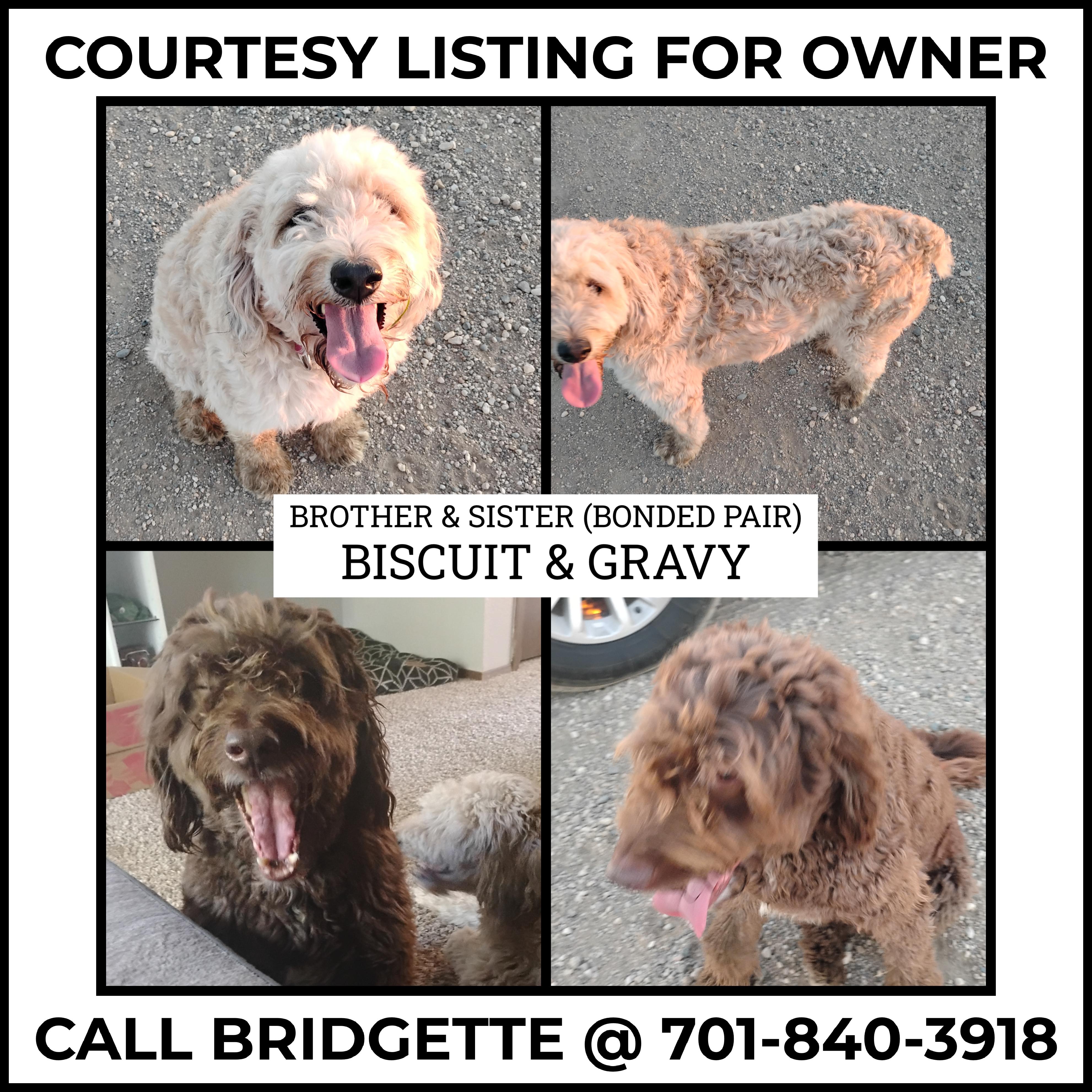 Biscuit & Gravy - COURTESY LISTING FOR OWNER