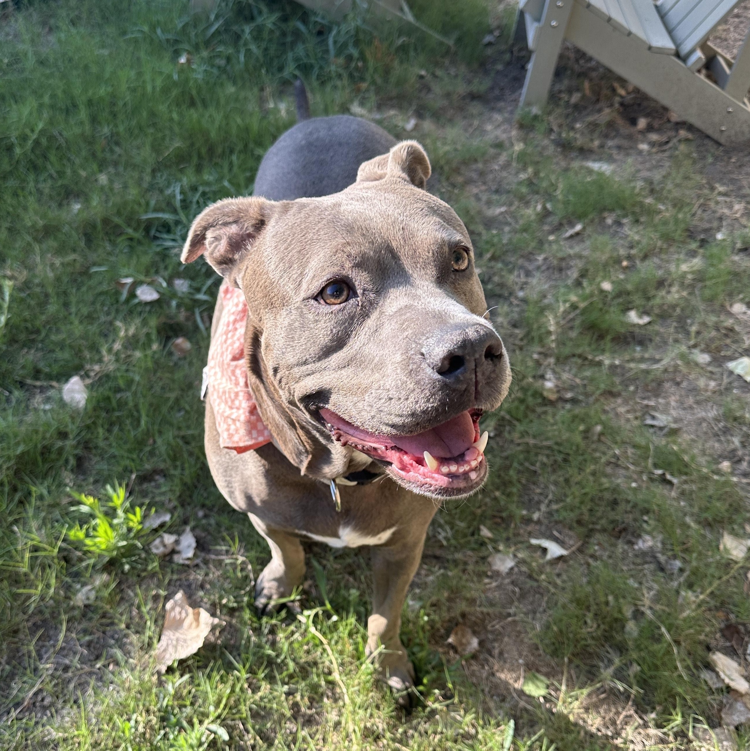 Myla - Courtesy Listing photo 2