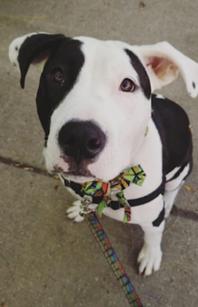 April — thumbnail 5