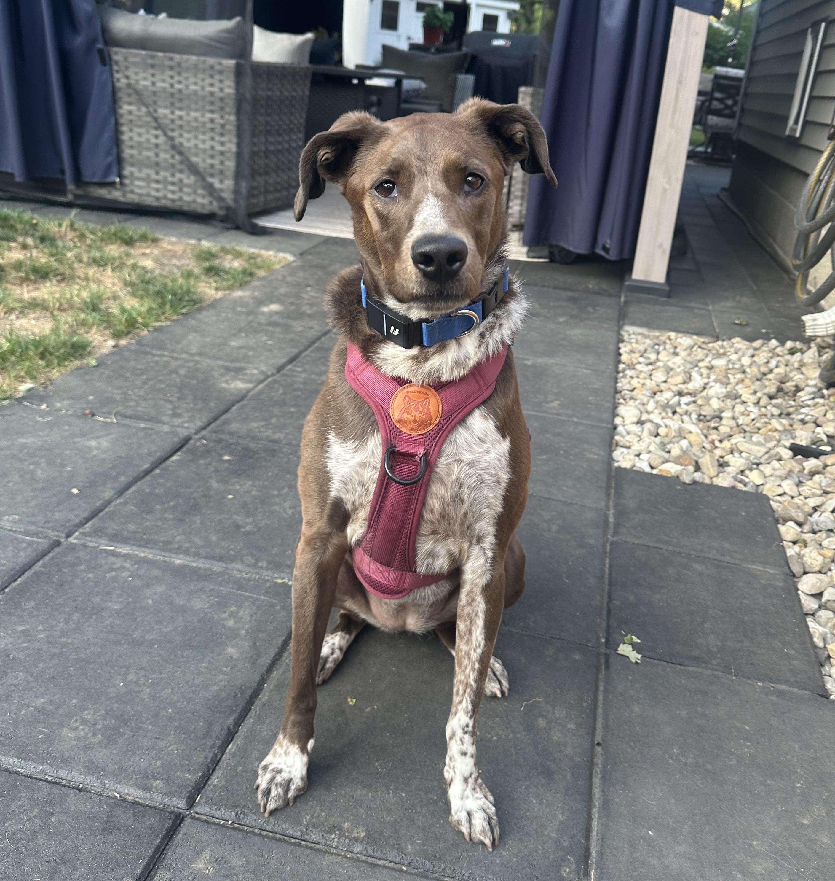 Piper Parker — thumbnail 3