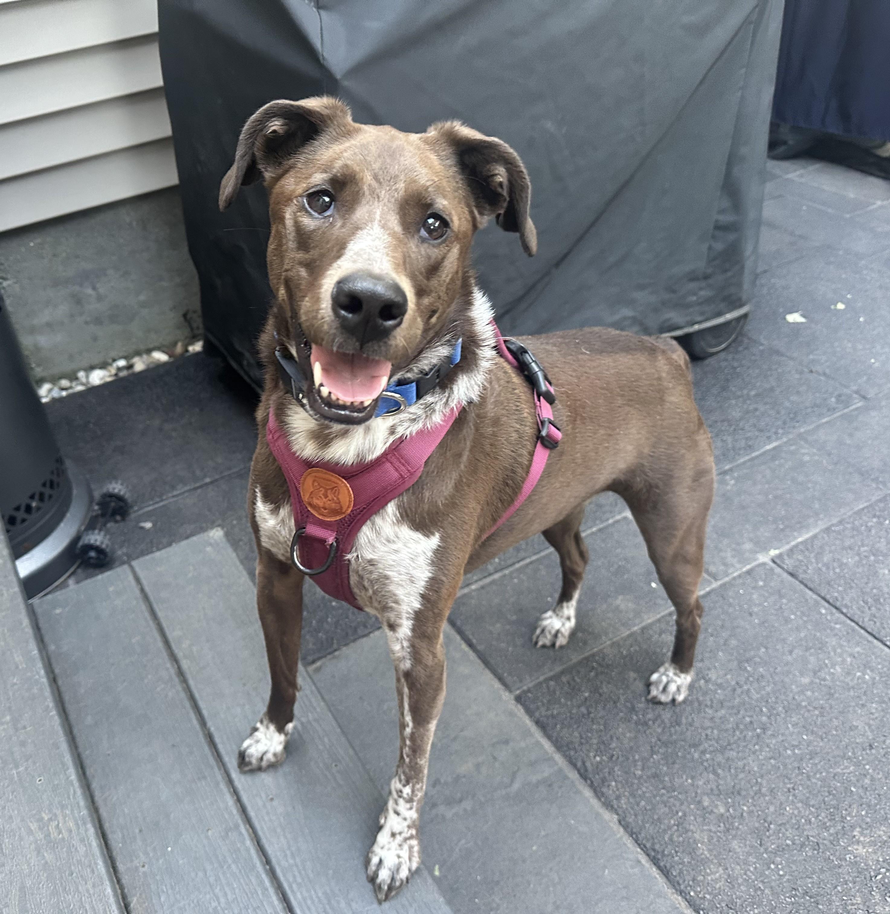 Piper Parker — thumbnail 5