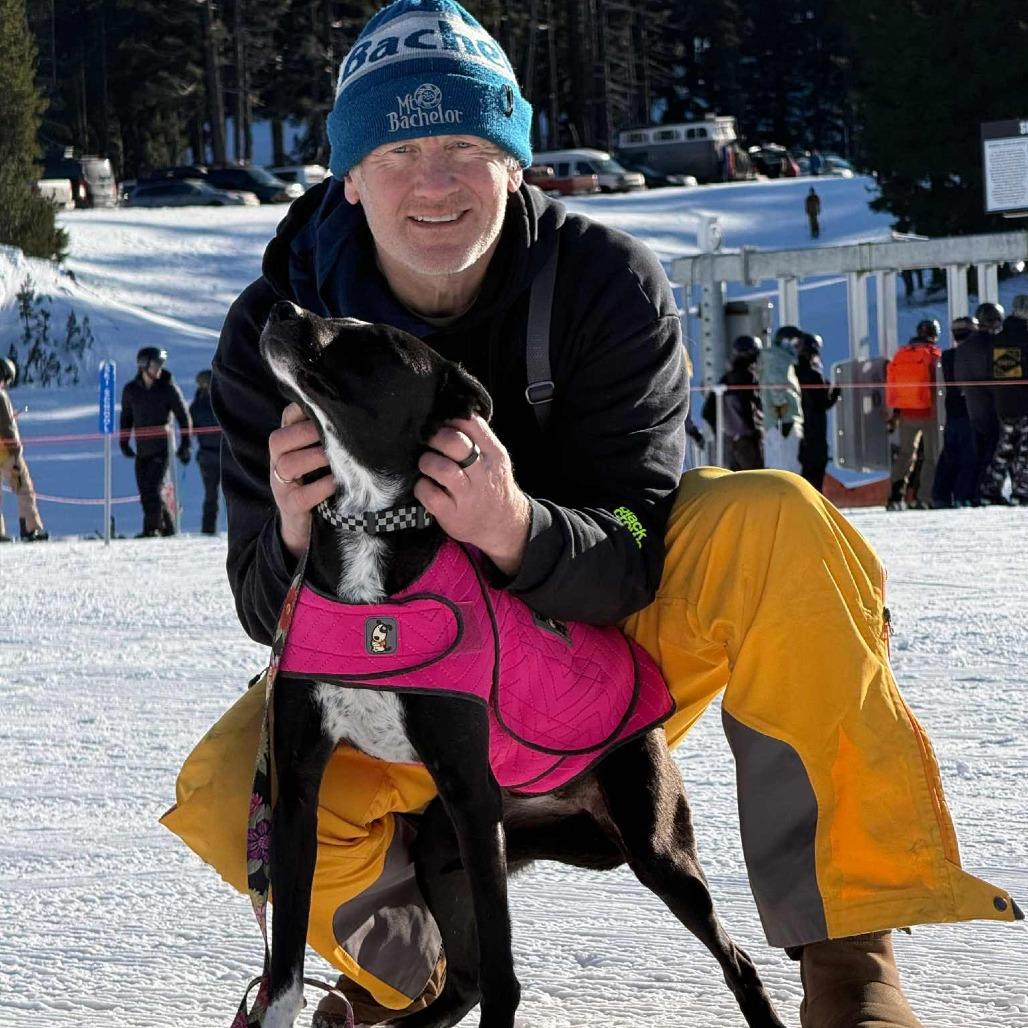 Catalina, a Adoptable Mixed Breed in Bend, OR image 1/6