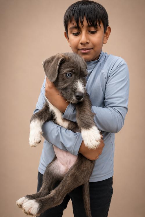 Astro, Adoptable, Young Male Pit Bull Terrier.