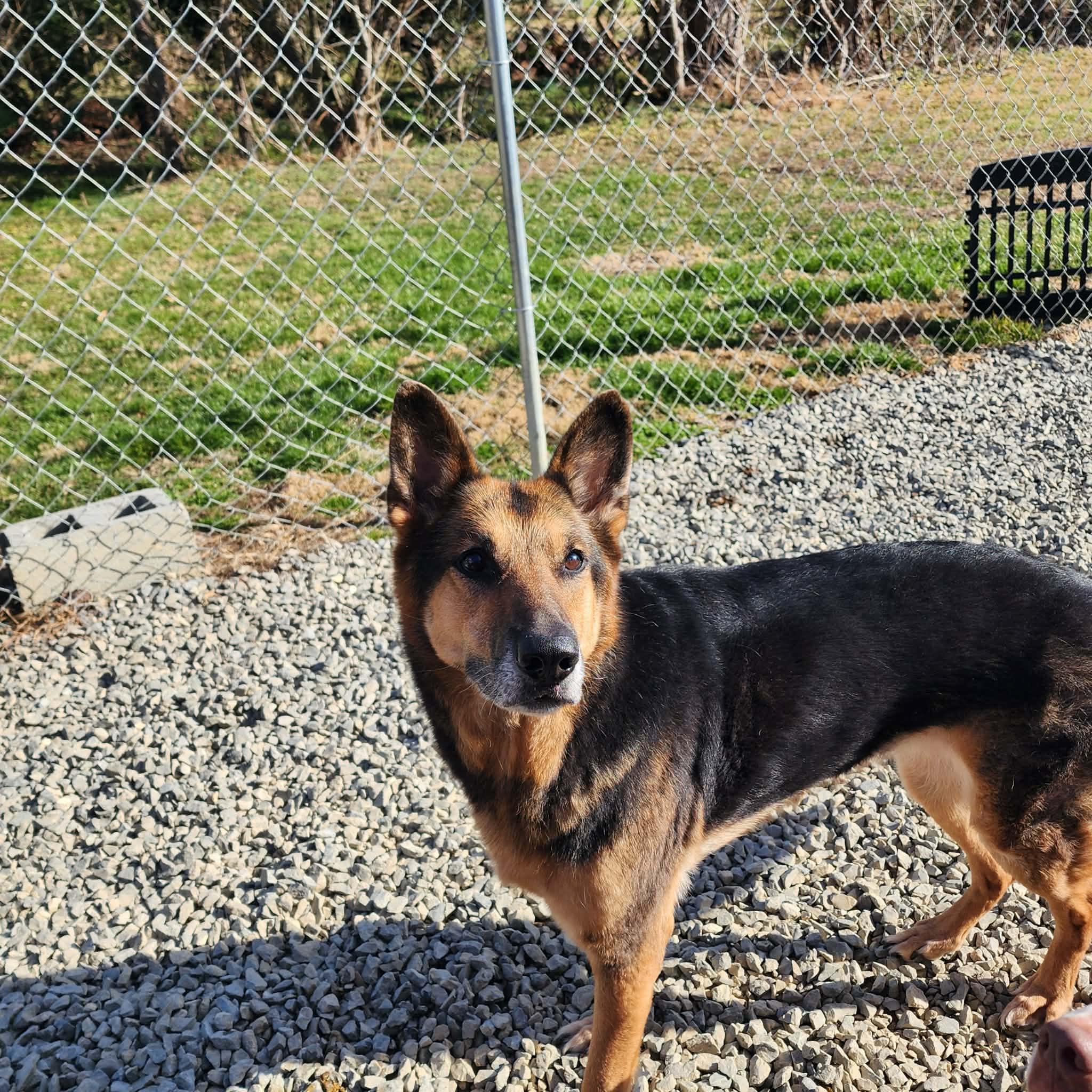 Ellie — thumbnail 3