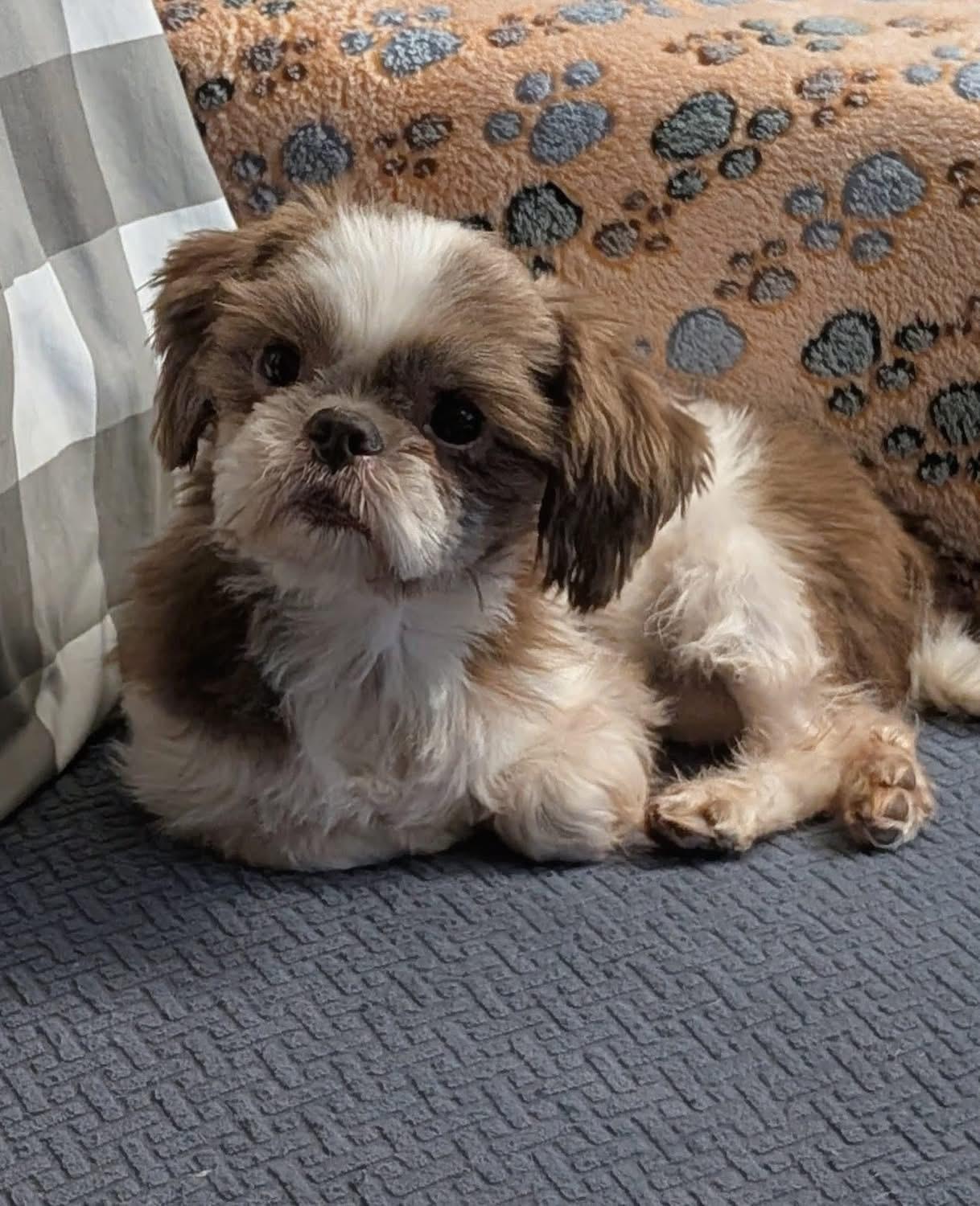 Harry Potter photo 1