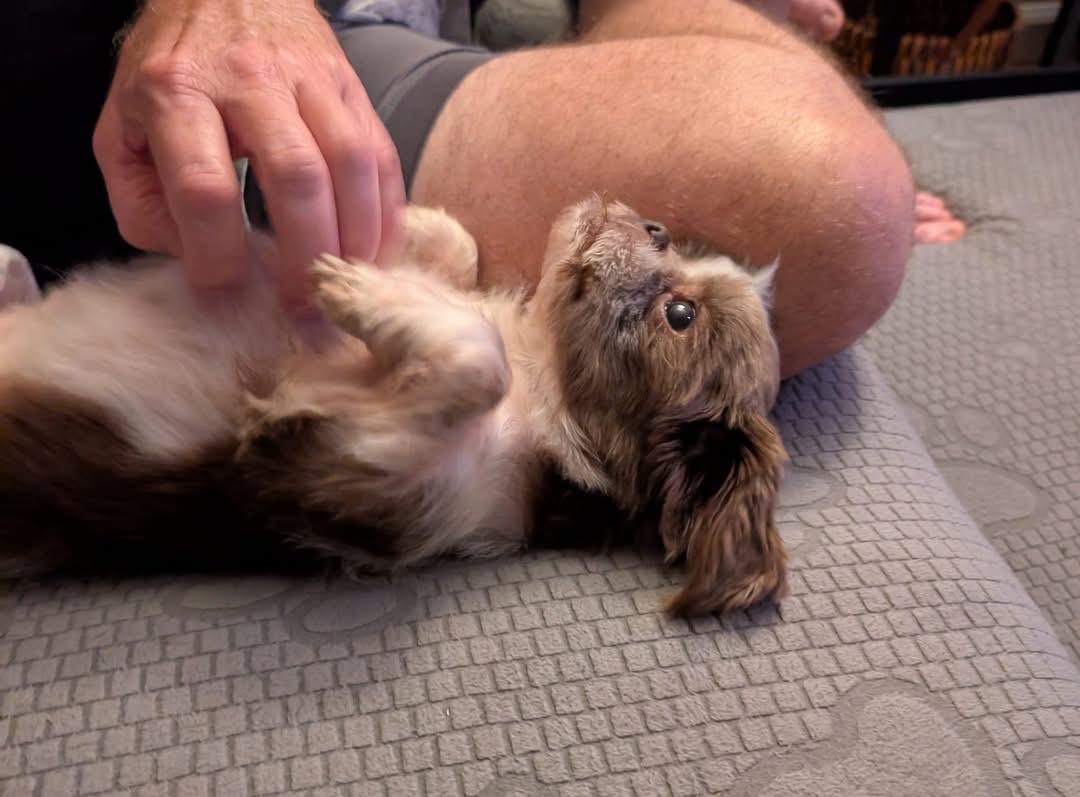 Harry Potter thumbnail 4