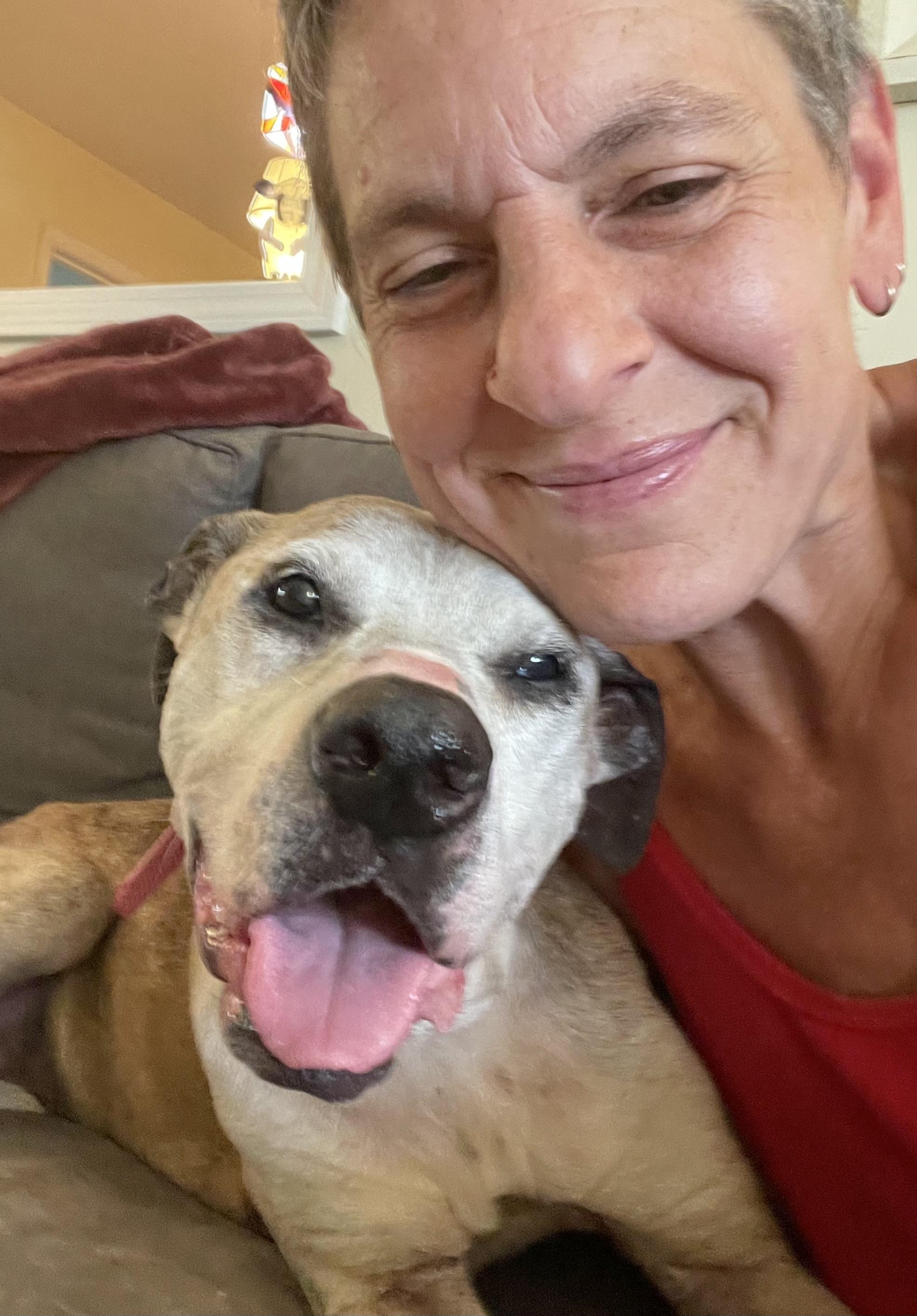 Marley, a Adopted Pit Bull Terrier in Clarkesville, GA image 4/5