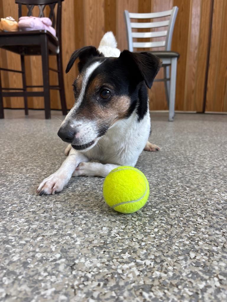 Marley — thumbnail 3