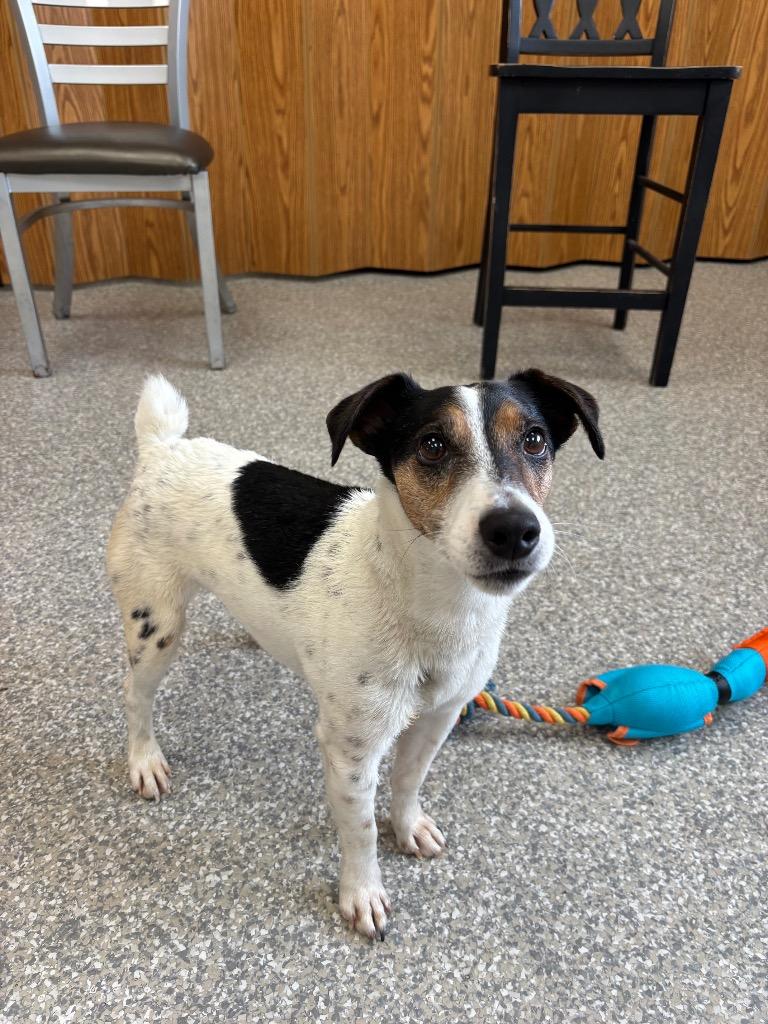 Marley — thumbnail 4