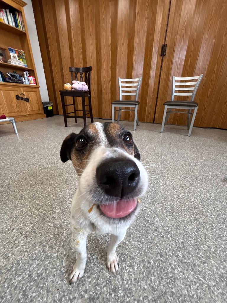 Marley — thumbnail 5