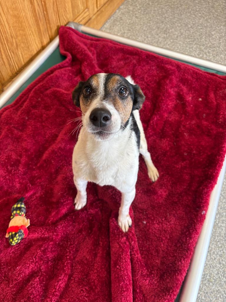 Marley — thumbnail 6