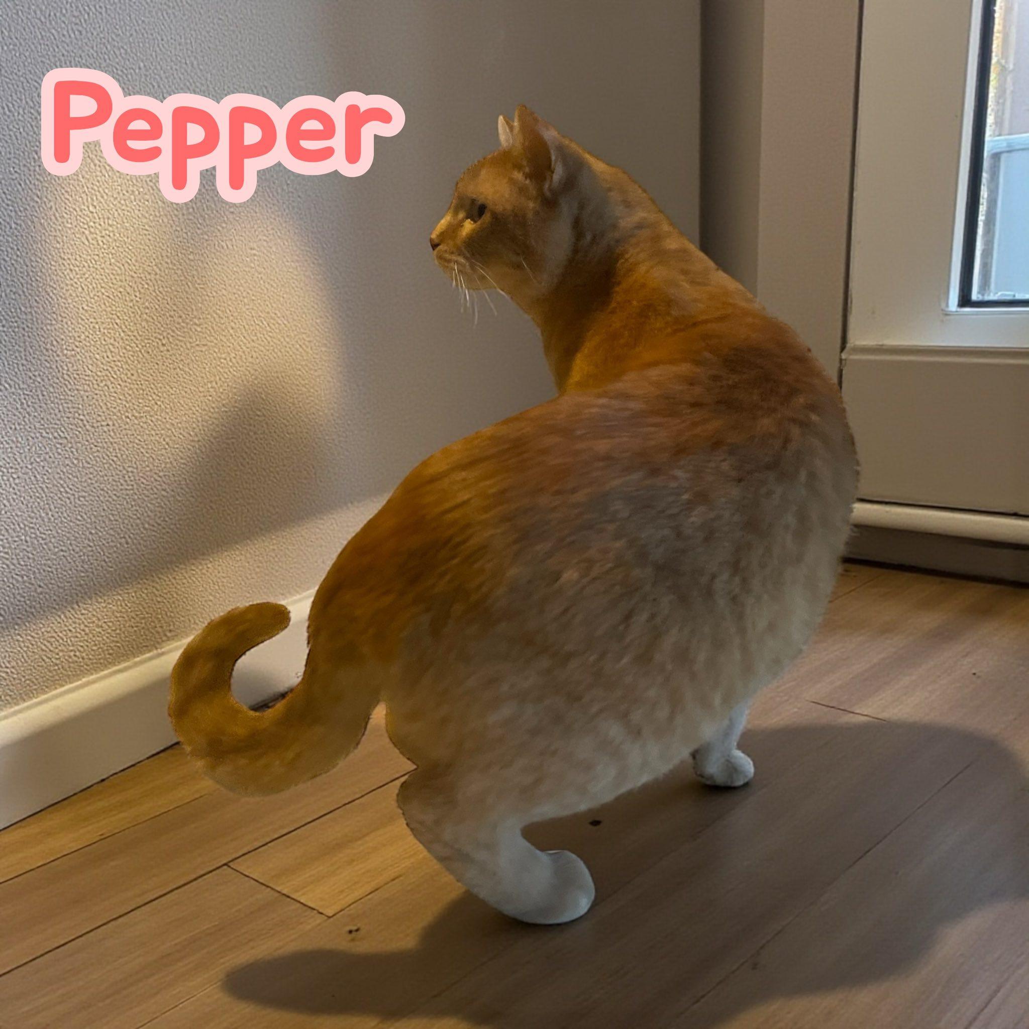 Pepper