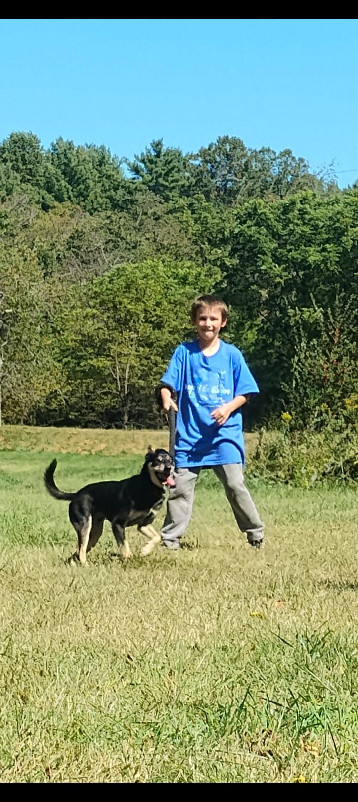 Ringo **Courtesy Post**