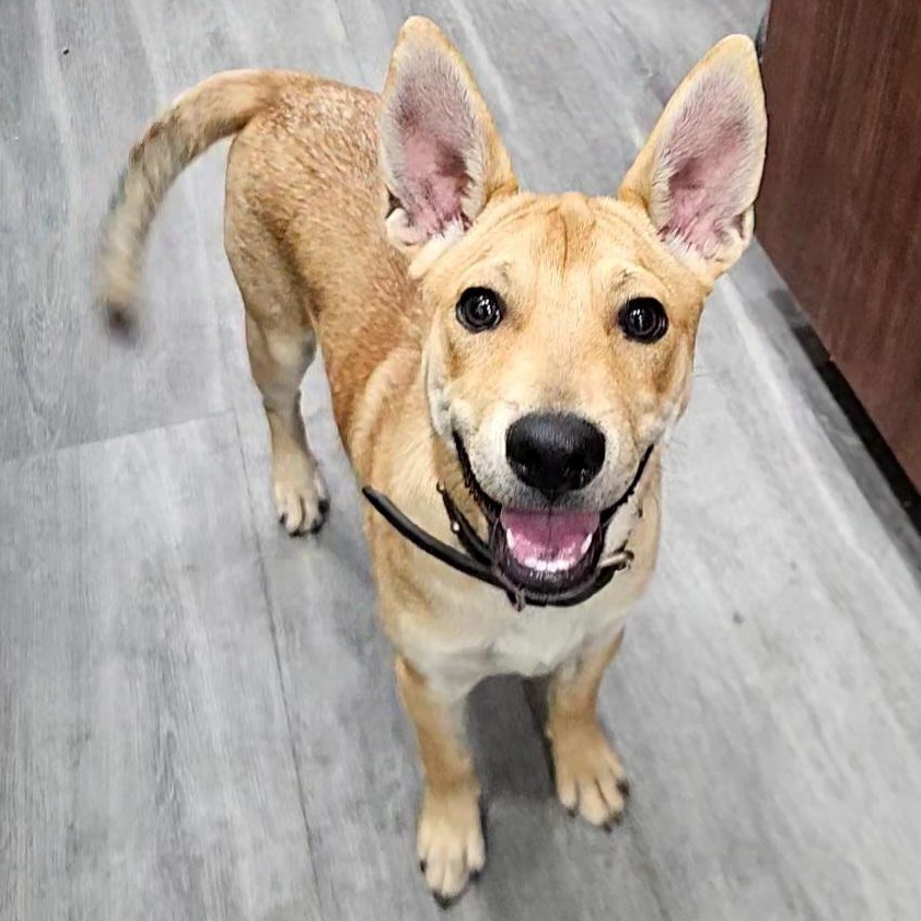 Jake — thumbnail 6